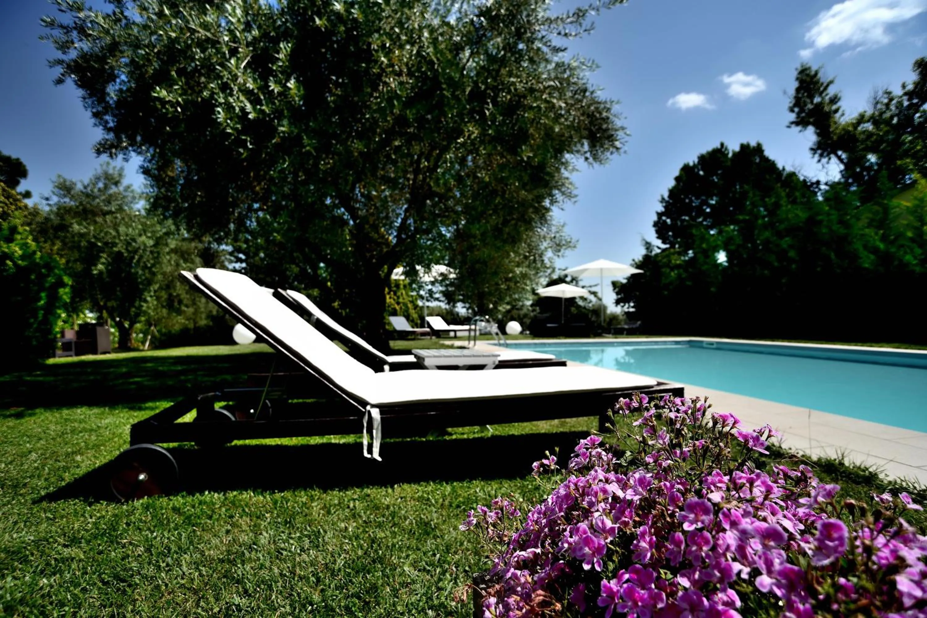 Swimming pool in Agriturismo al Colle
