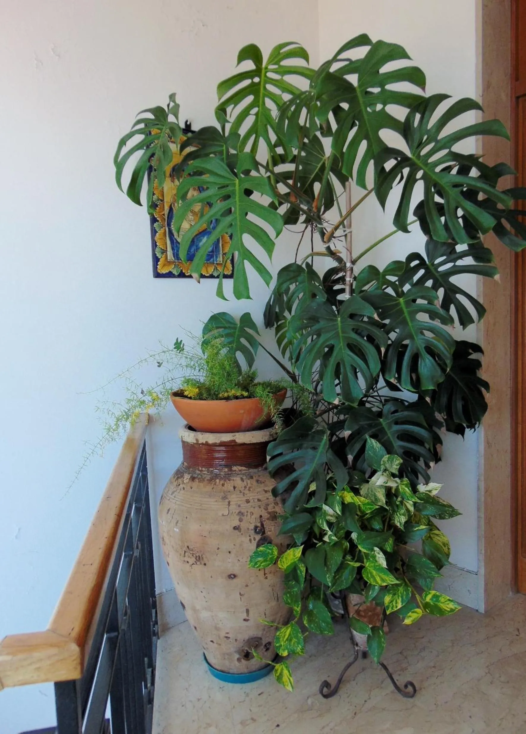 Decorative detail in Villa Sara