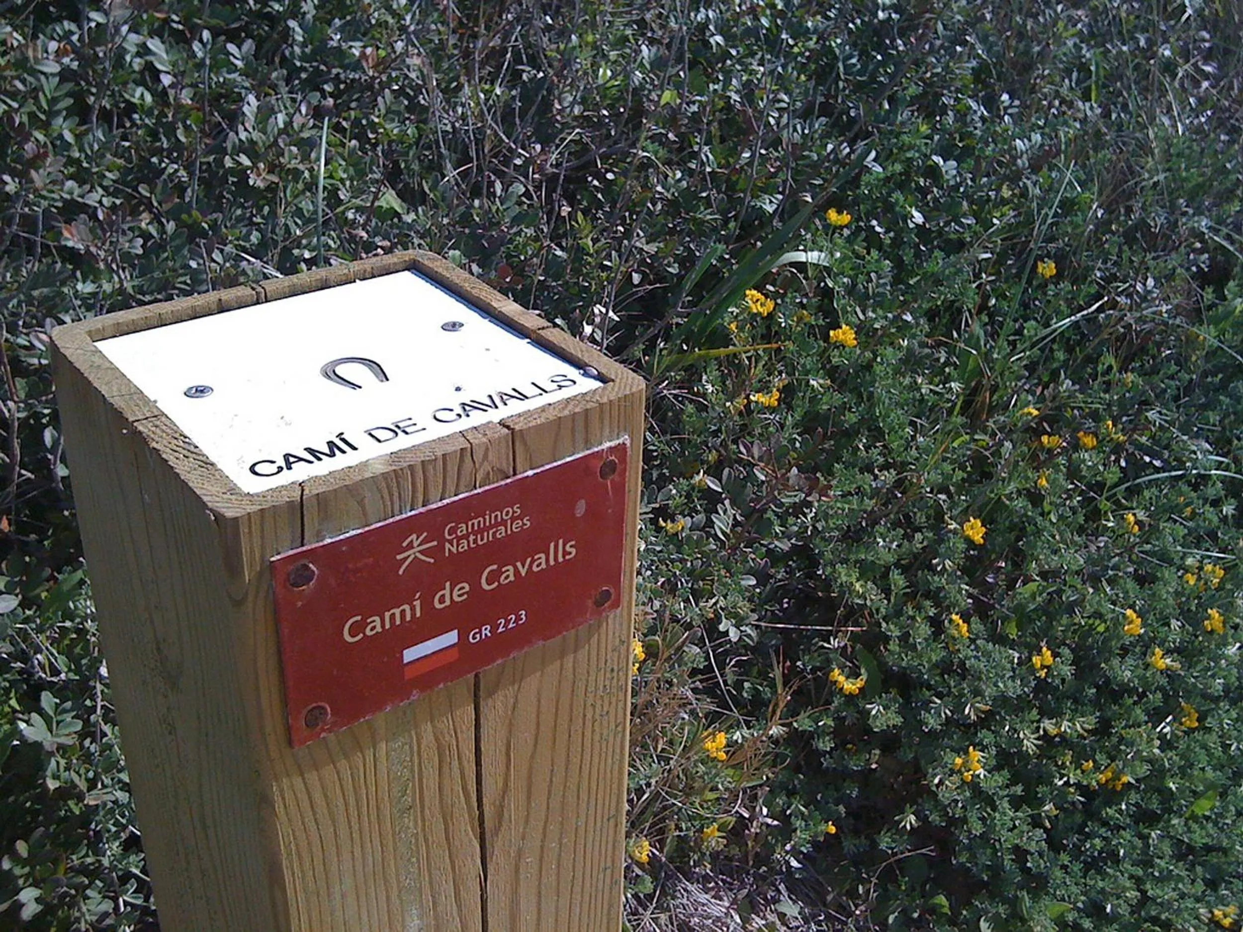 Other in Hotel Playa Santandria Adults Only