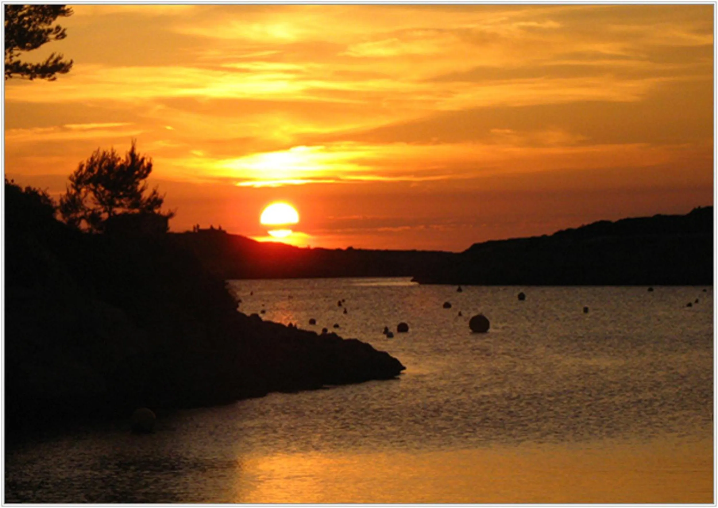 Area and facilities in Hotel Playa Santandria Adults Only