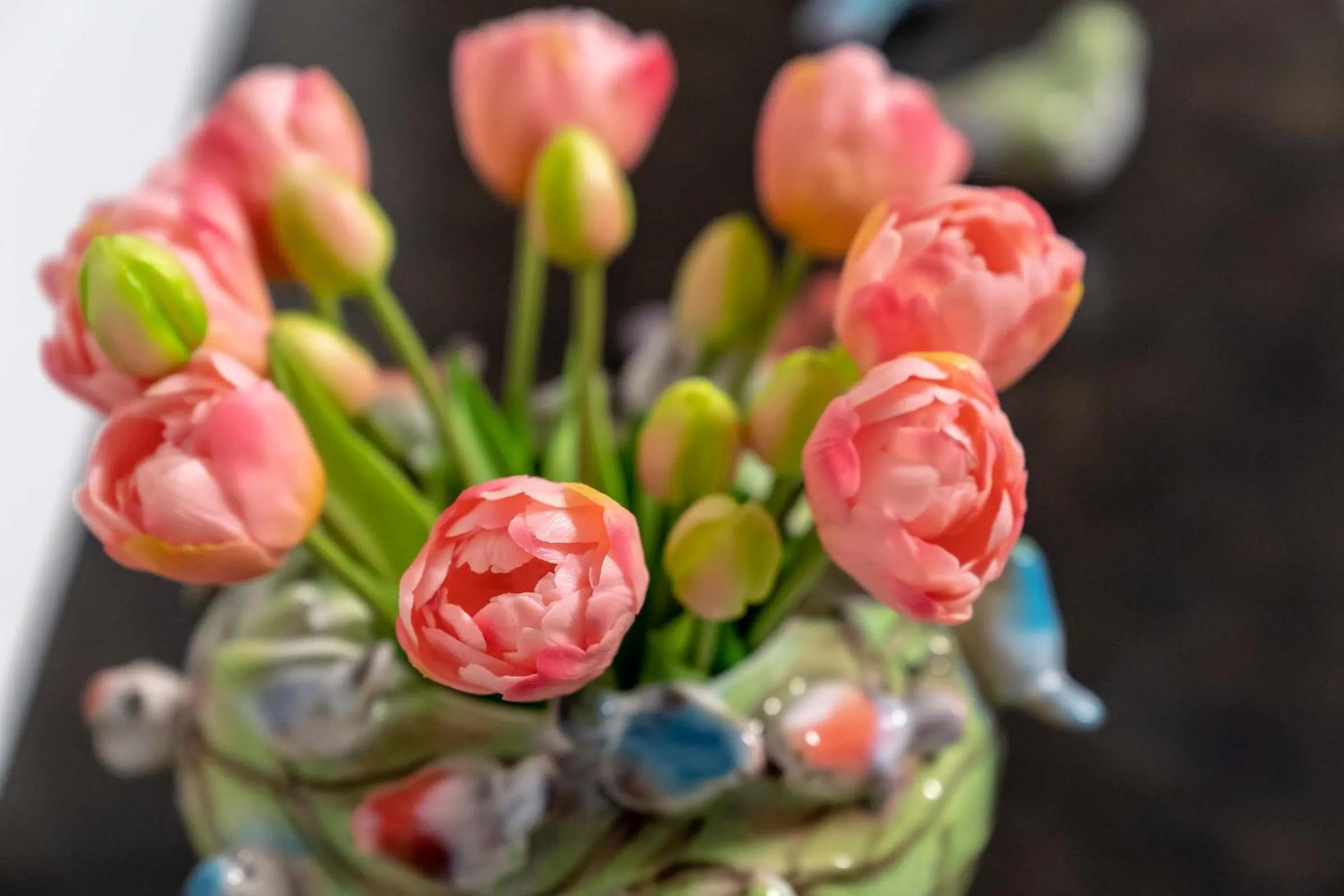 Food in Boardinghouse Burgpark