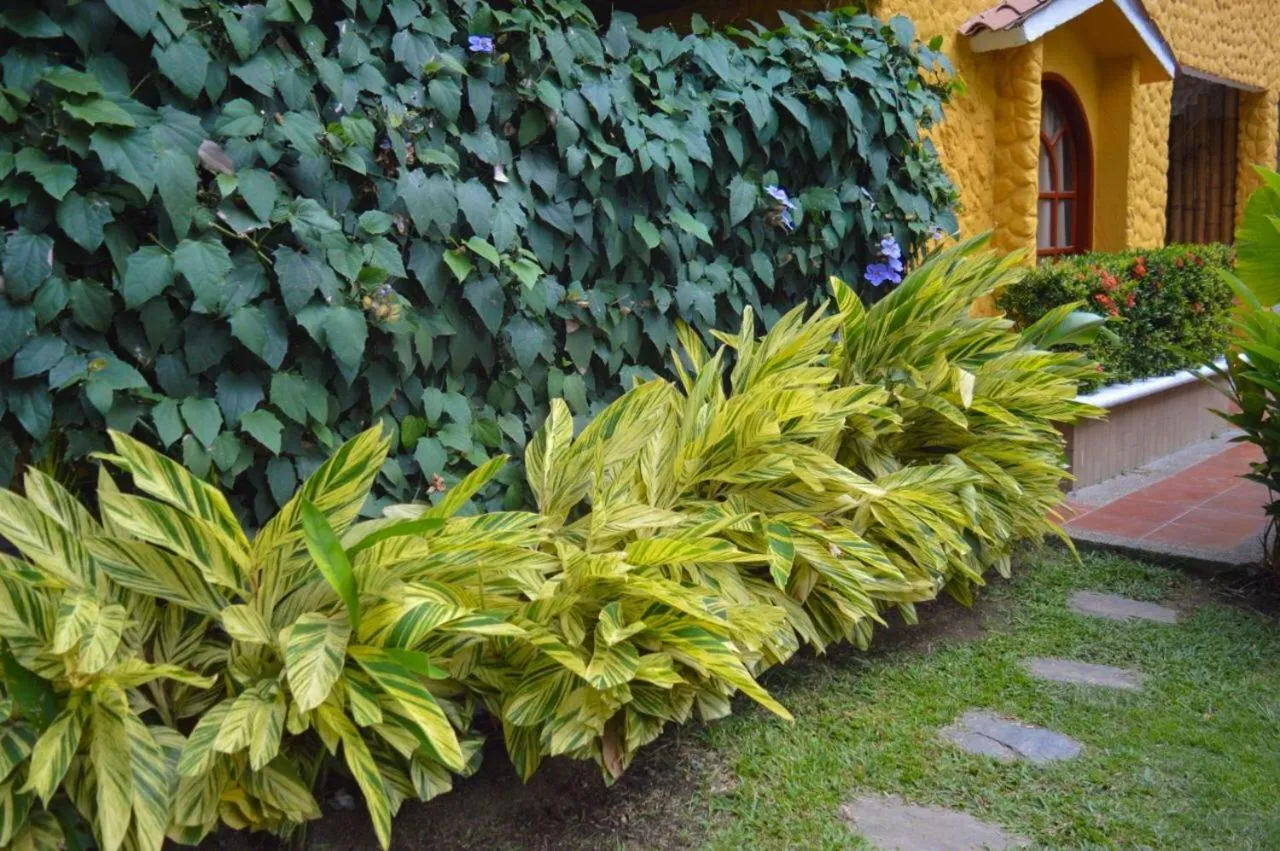 Garden in Eco Hostal Kuima