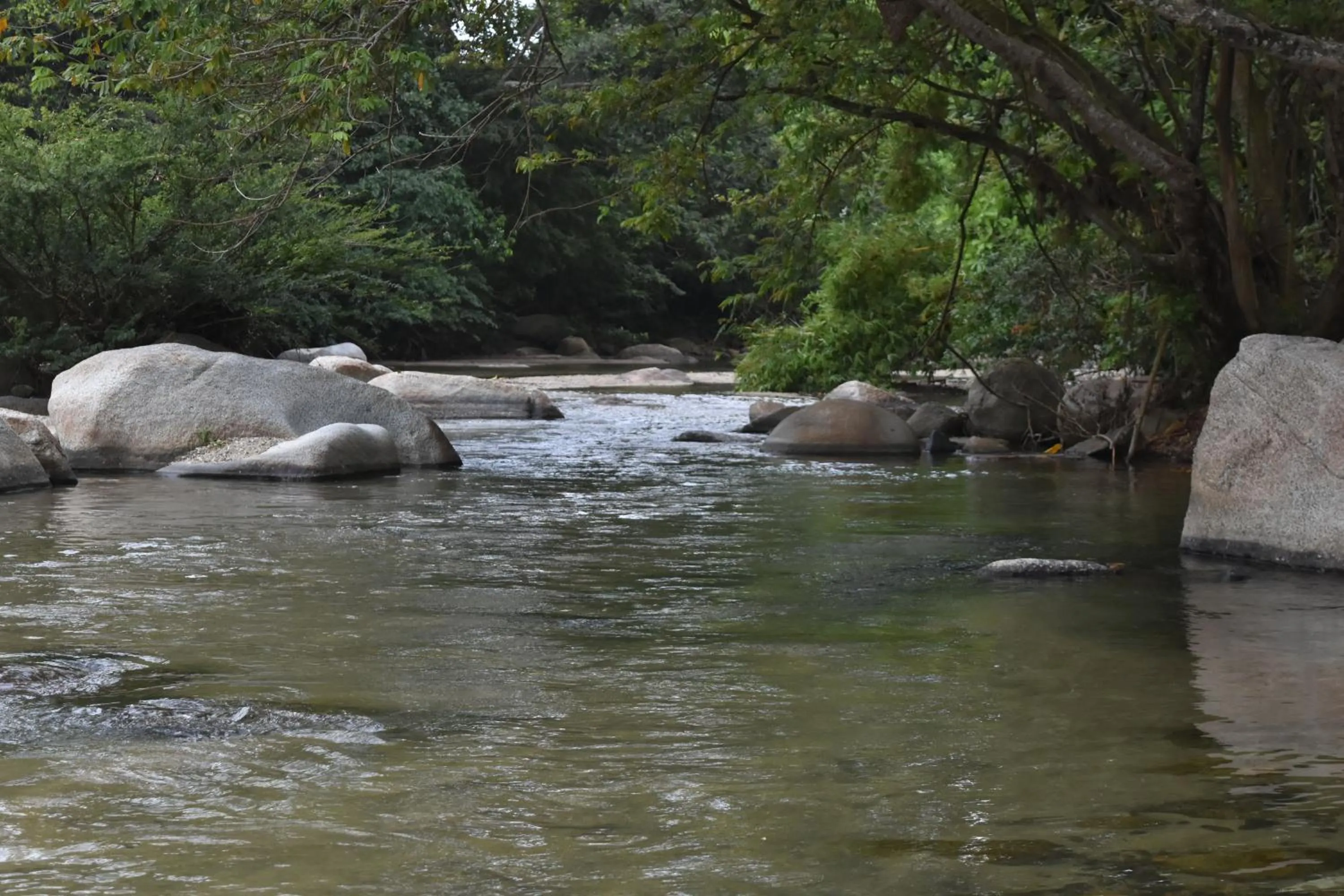 Natural landscape in Eco Hostal Kuima
