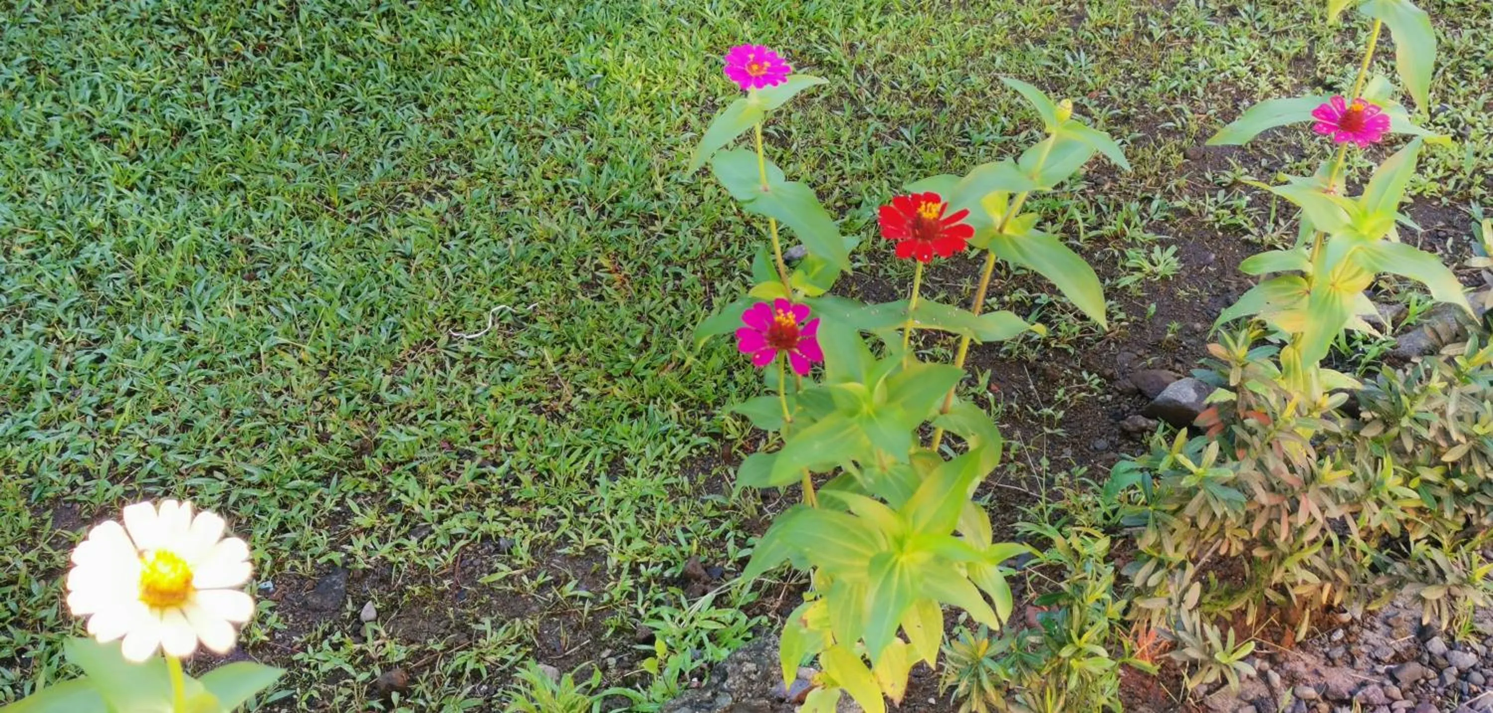 Day in Hotel Campestre Arenal