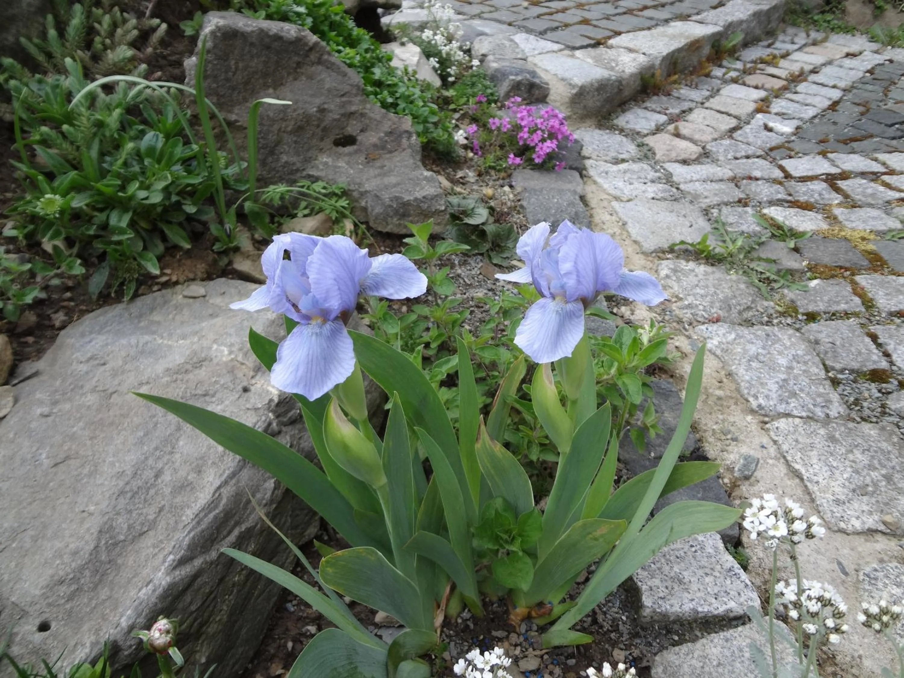 B & B Gästehaus Schmidt