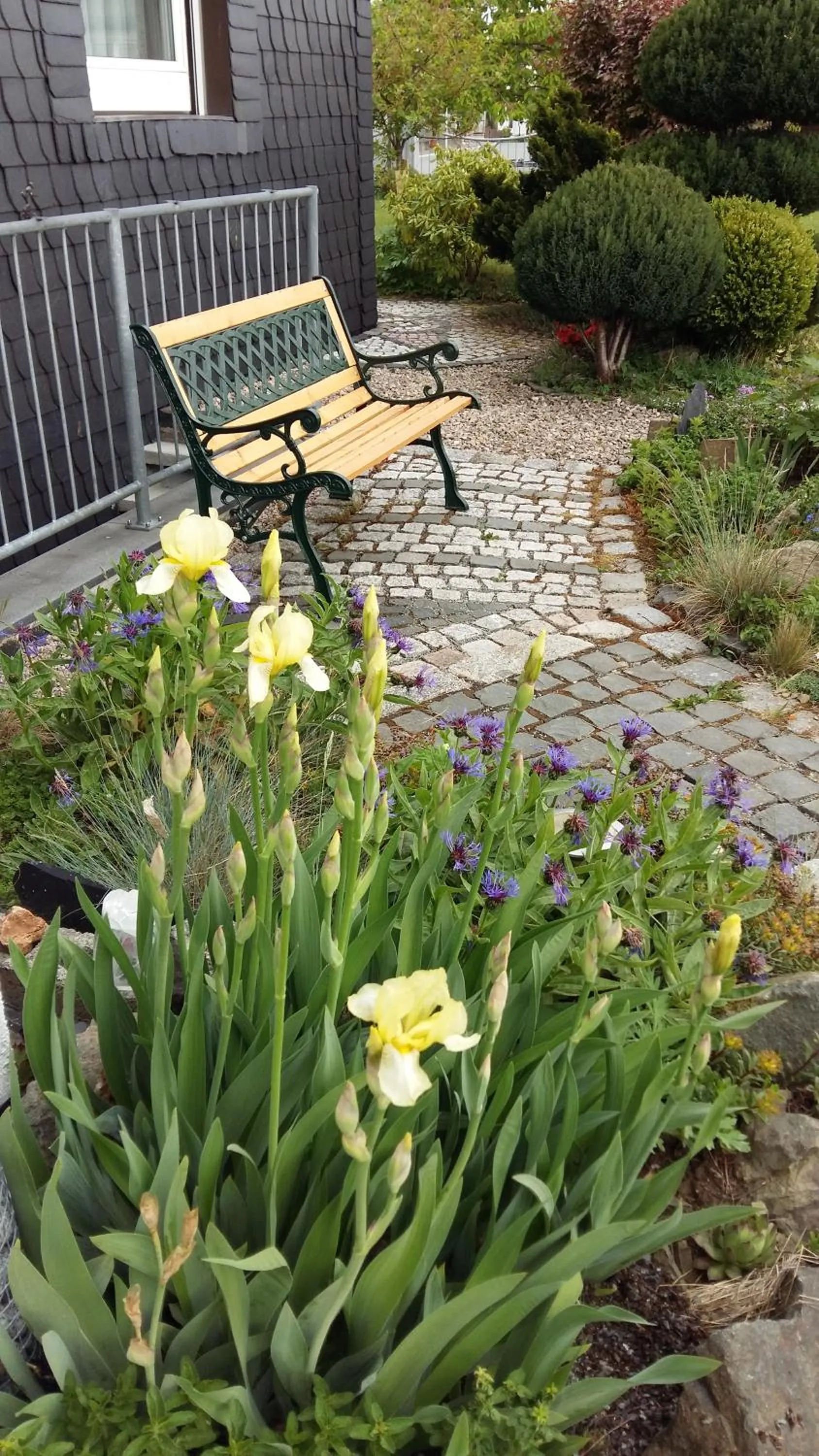 Garden in B & B Gästehaus Schmidt