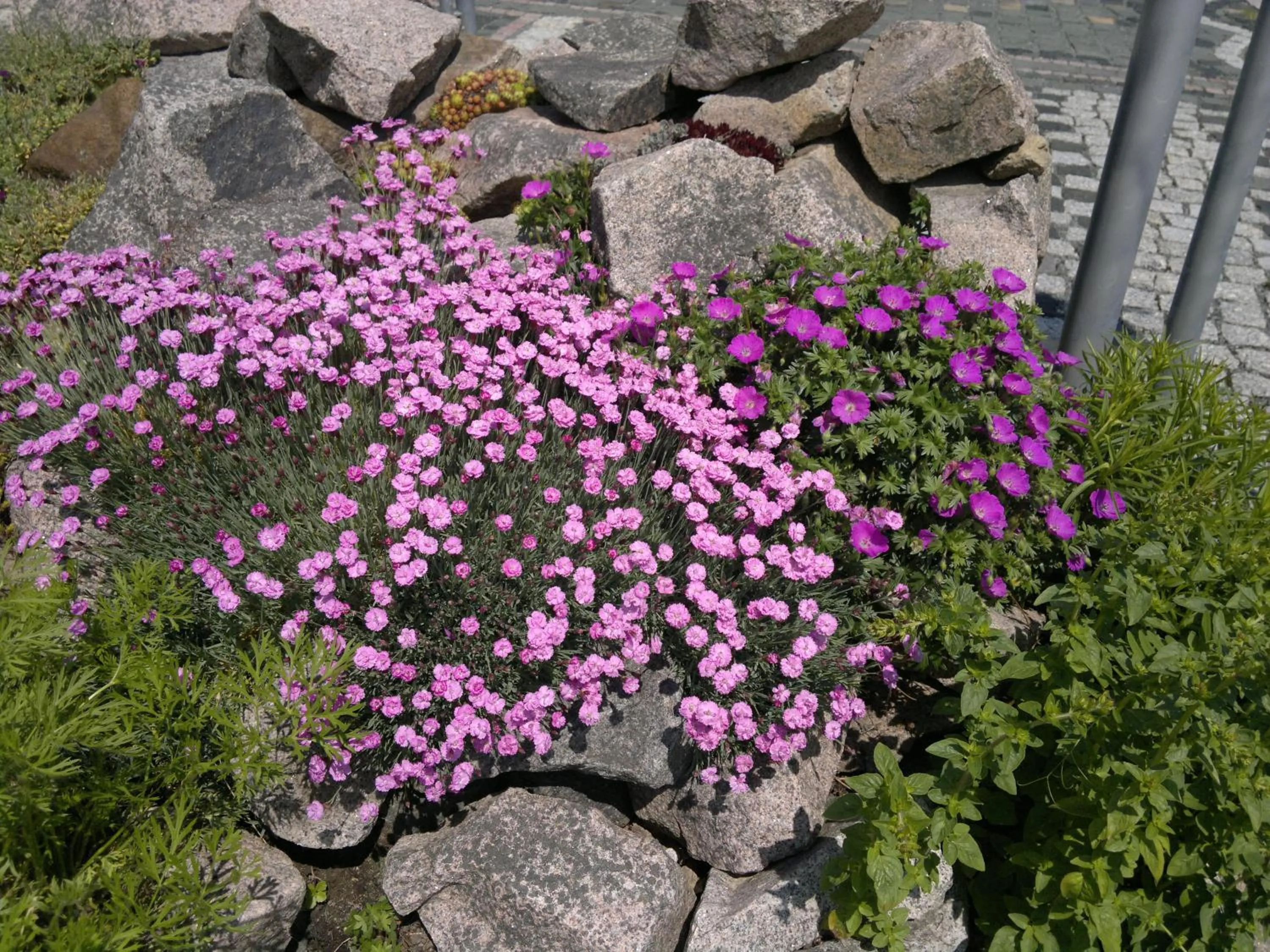 Other in B & B Gästehaus Schmidt