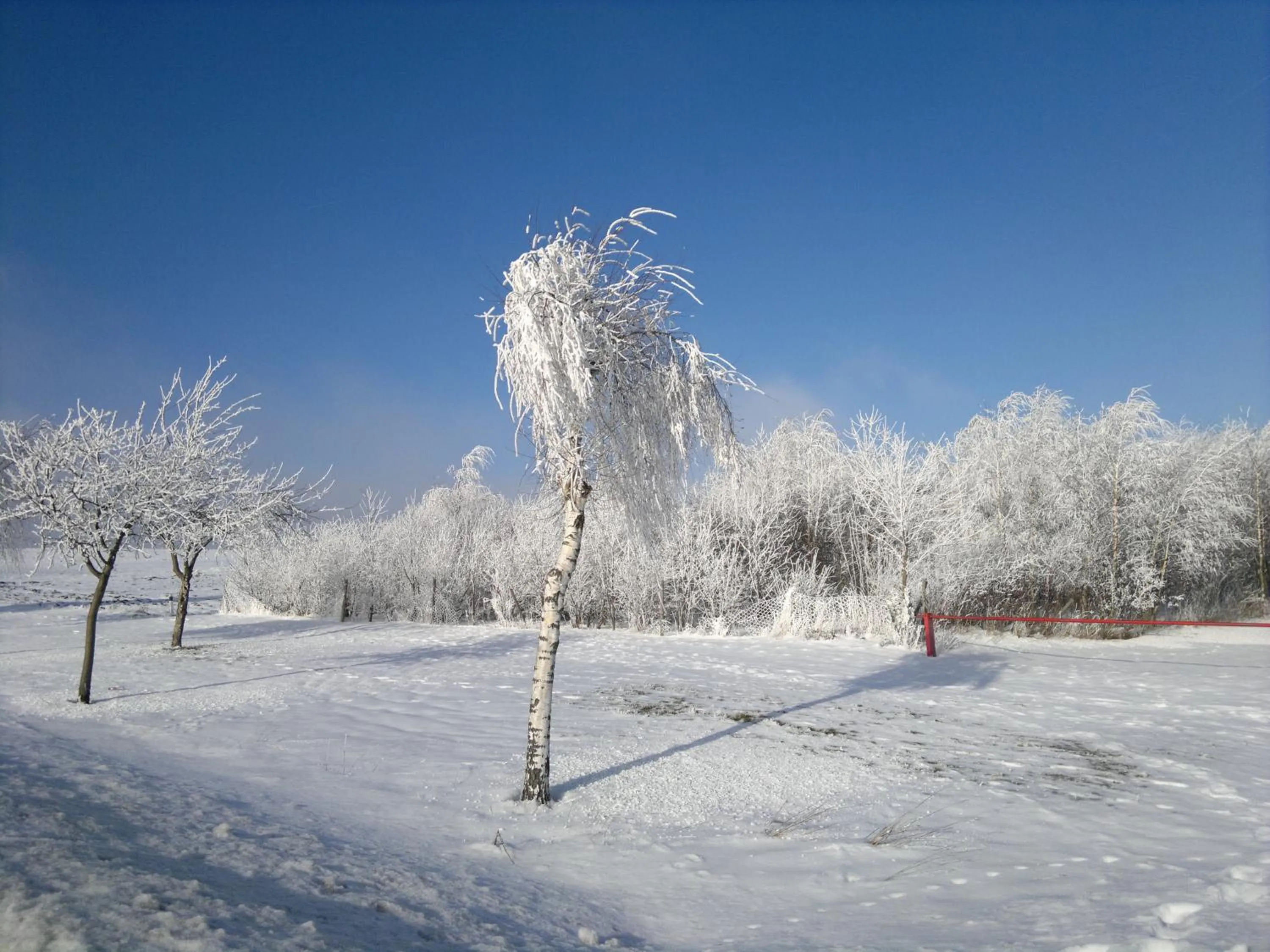 Natural landscape in B & B Gästehaus Schmidt