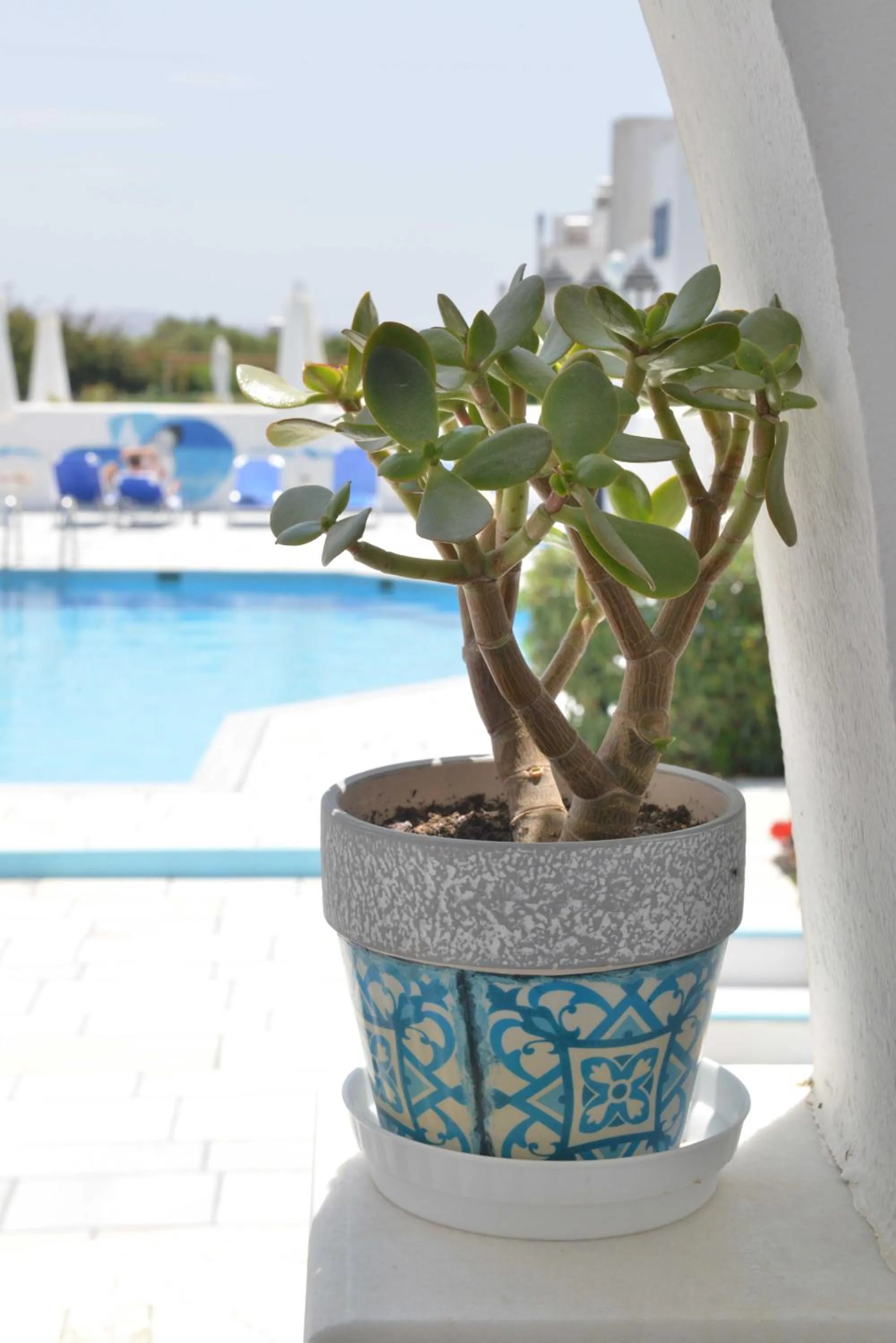 Pool view in Dedalos Studios Naxos