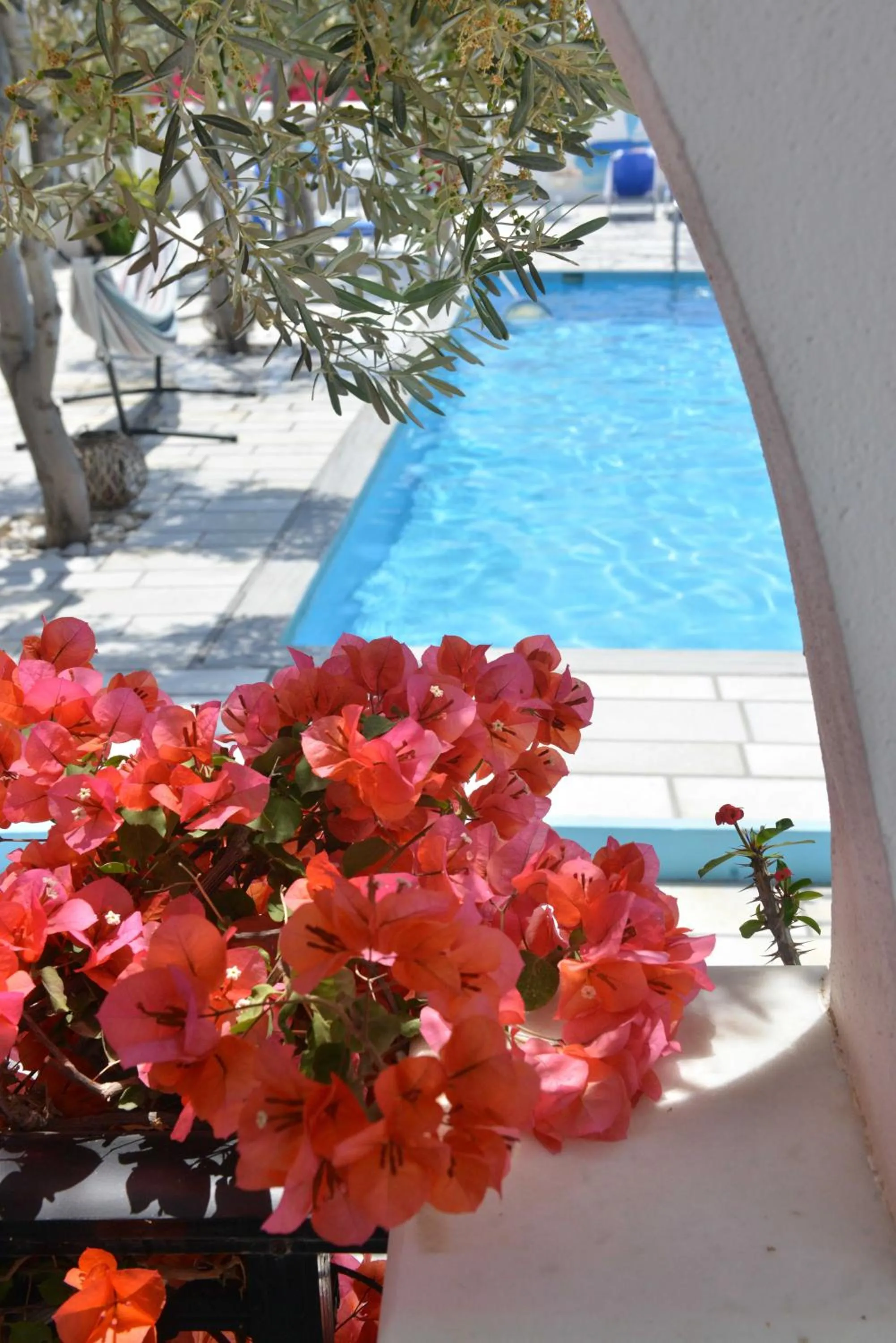 Pool view in Dedalos Studios Naxos