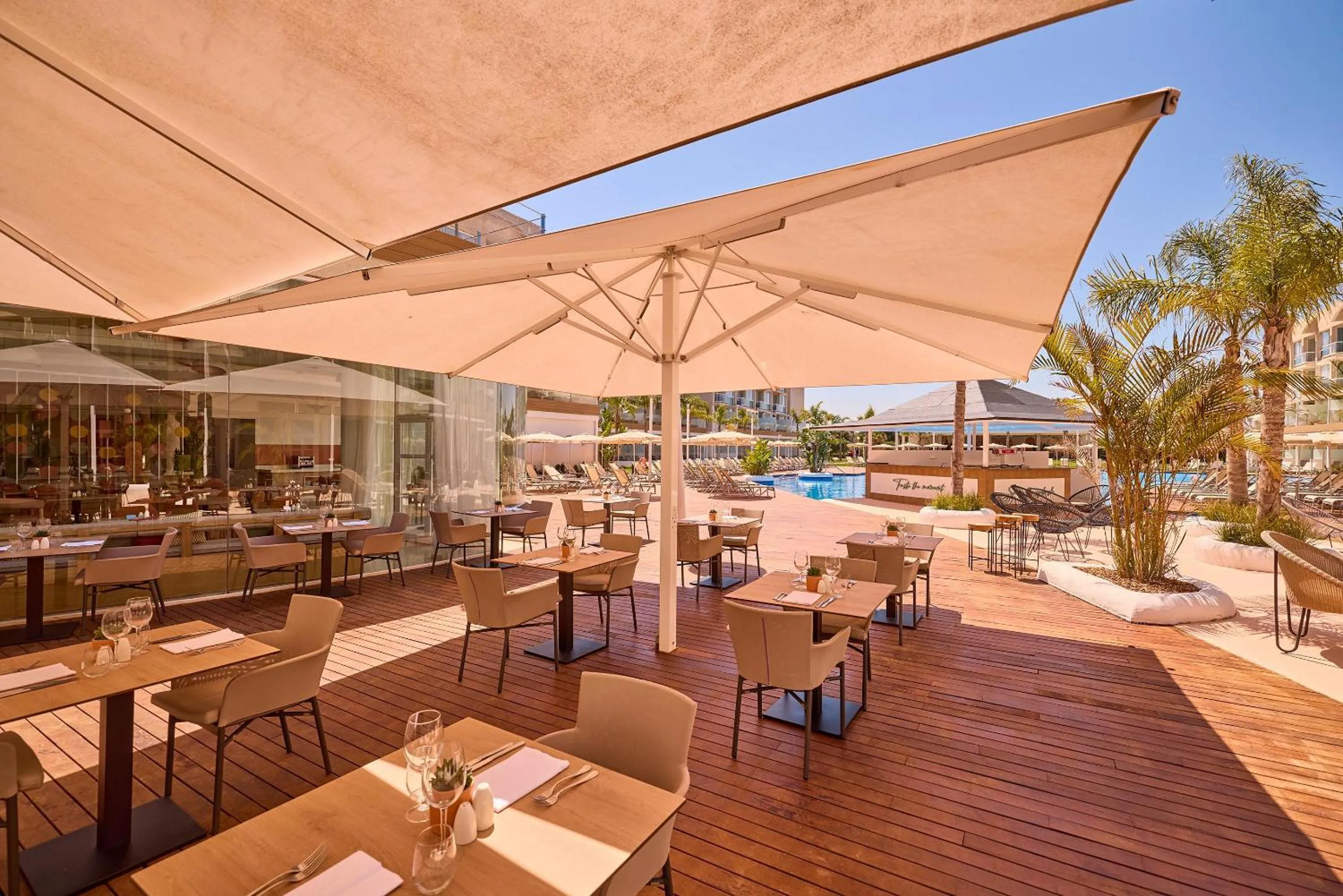 Restaurant/places to eat in Zafiro Alzinar Mar Adults Only - Refurbished 2025