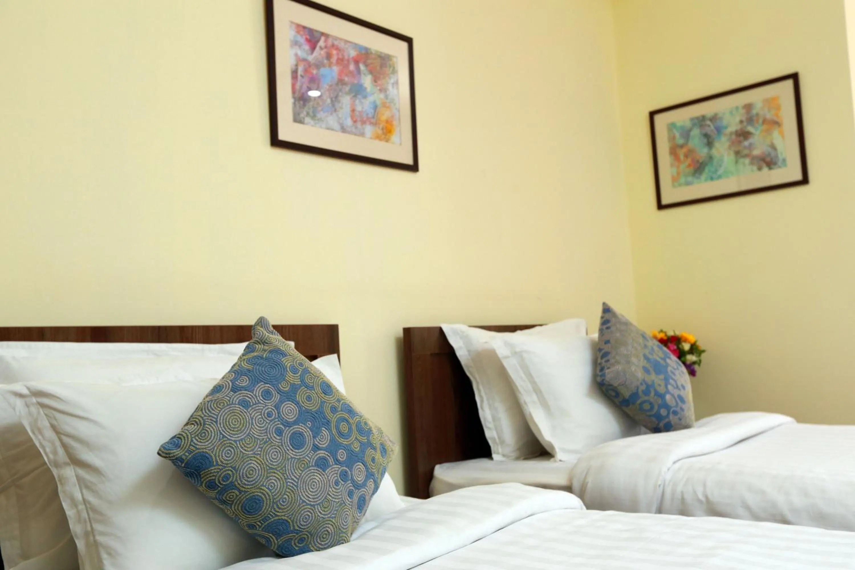 Standard Twin Room - single occupancy in Soluxe Hotel