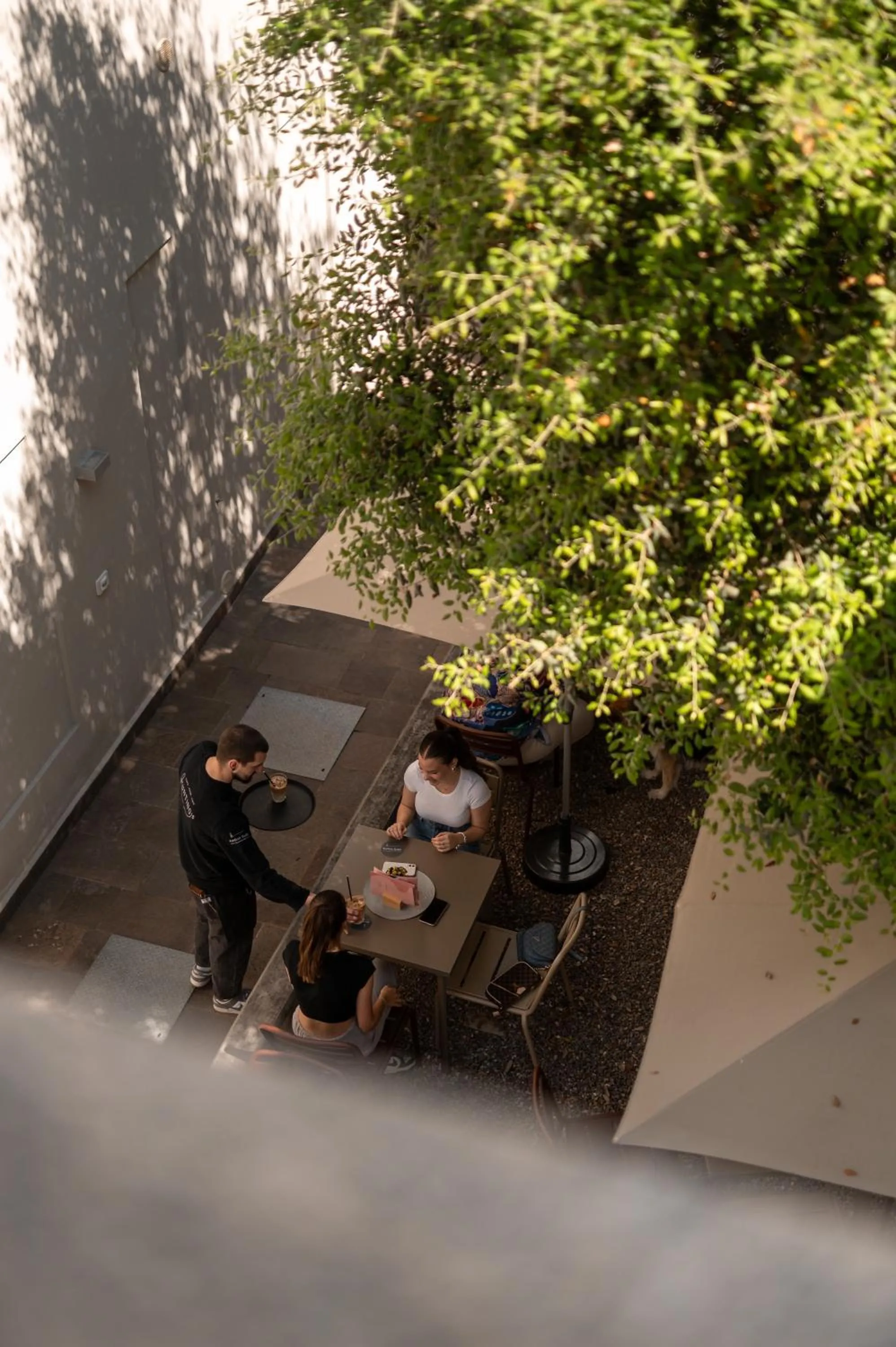 Garden in Kuntino Suites