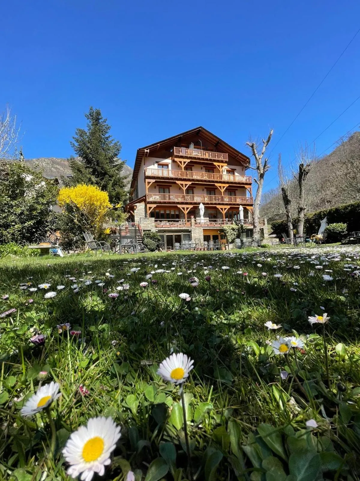 Hotel Estanys Blaus