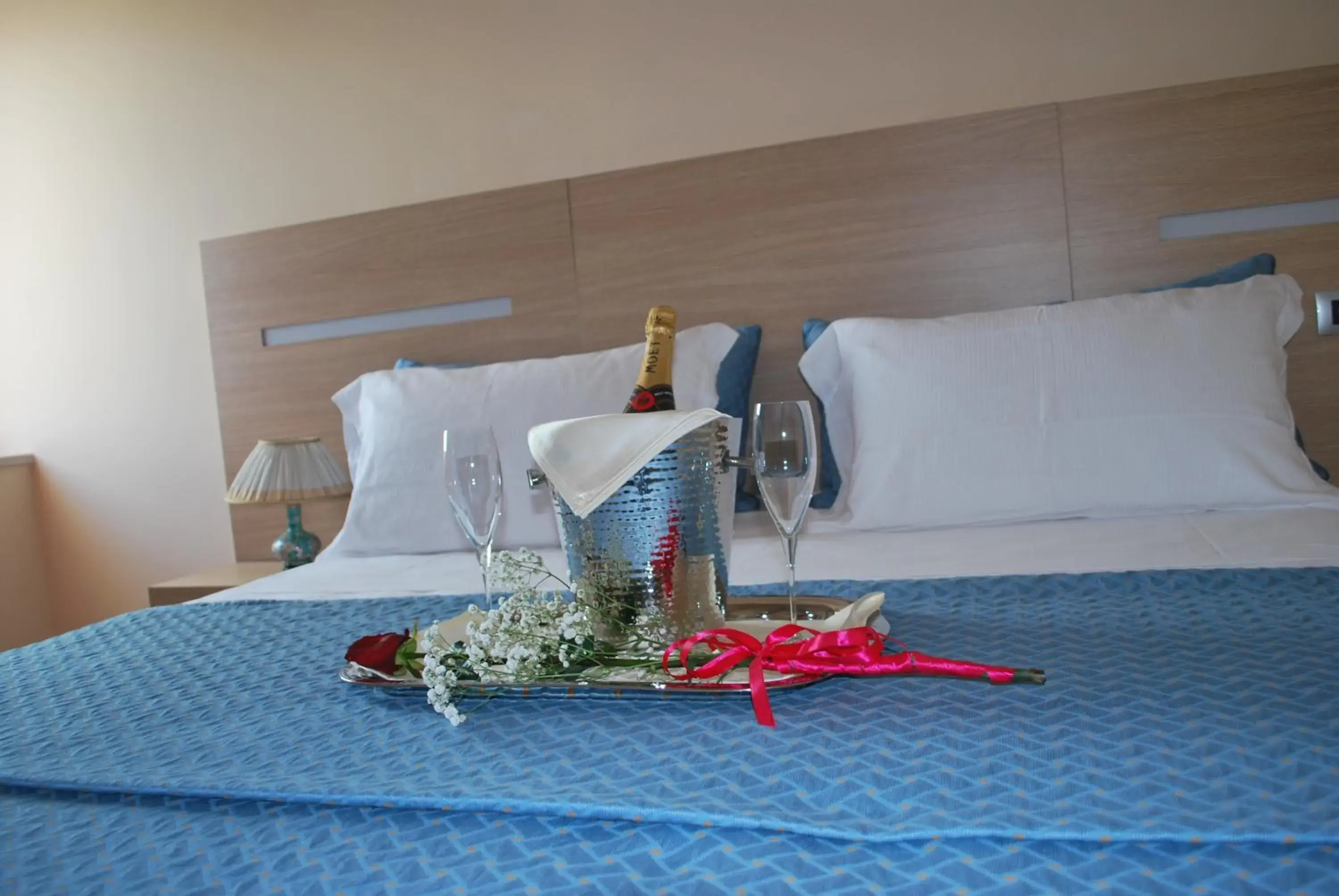 Double Room - single occupancy in Hotel The Queen Double Room - single occupancy in Hotel The Queen