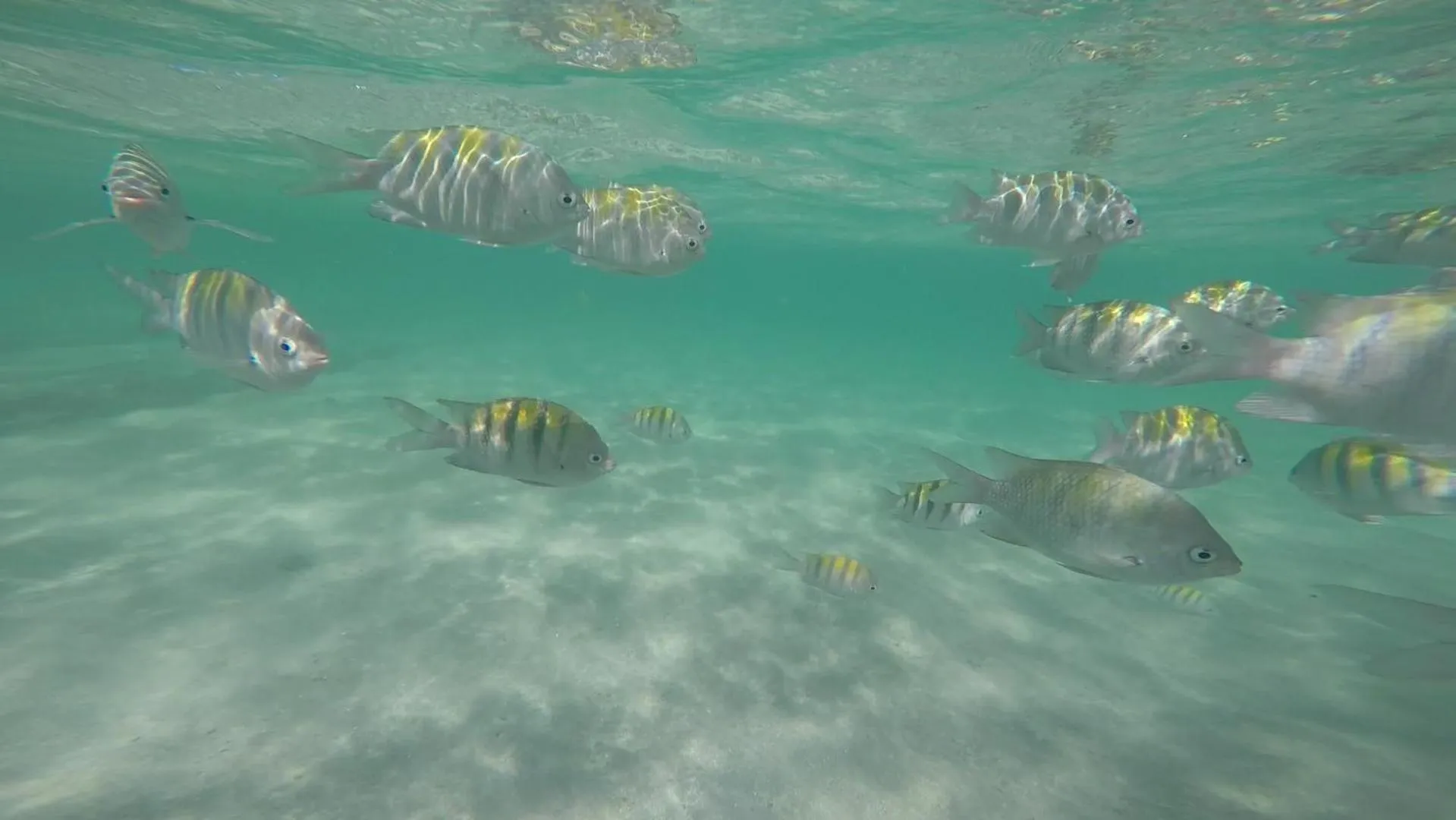 Natural landscape in Apart-Hotel Bella Vida Suítes e Apartamentos