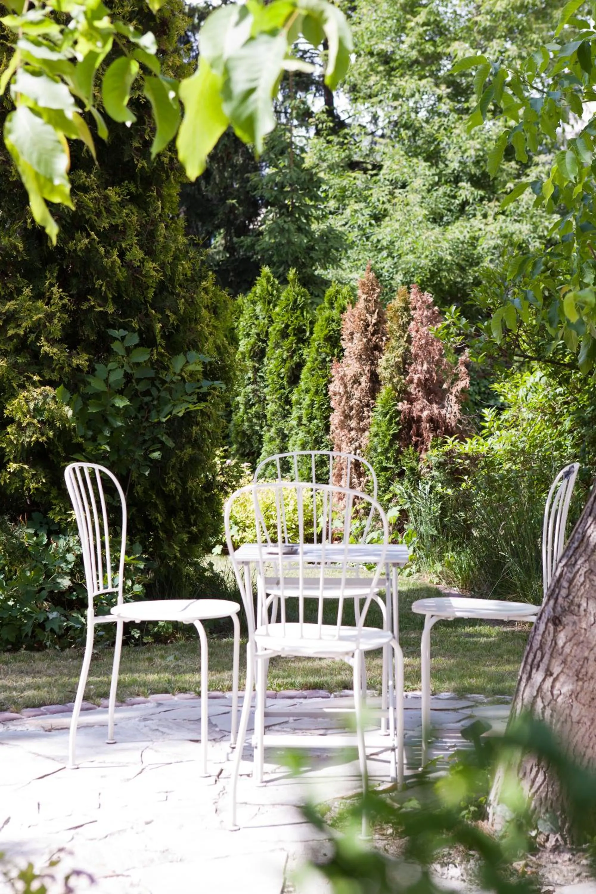 Garden in Pepe Hostel