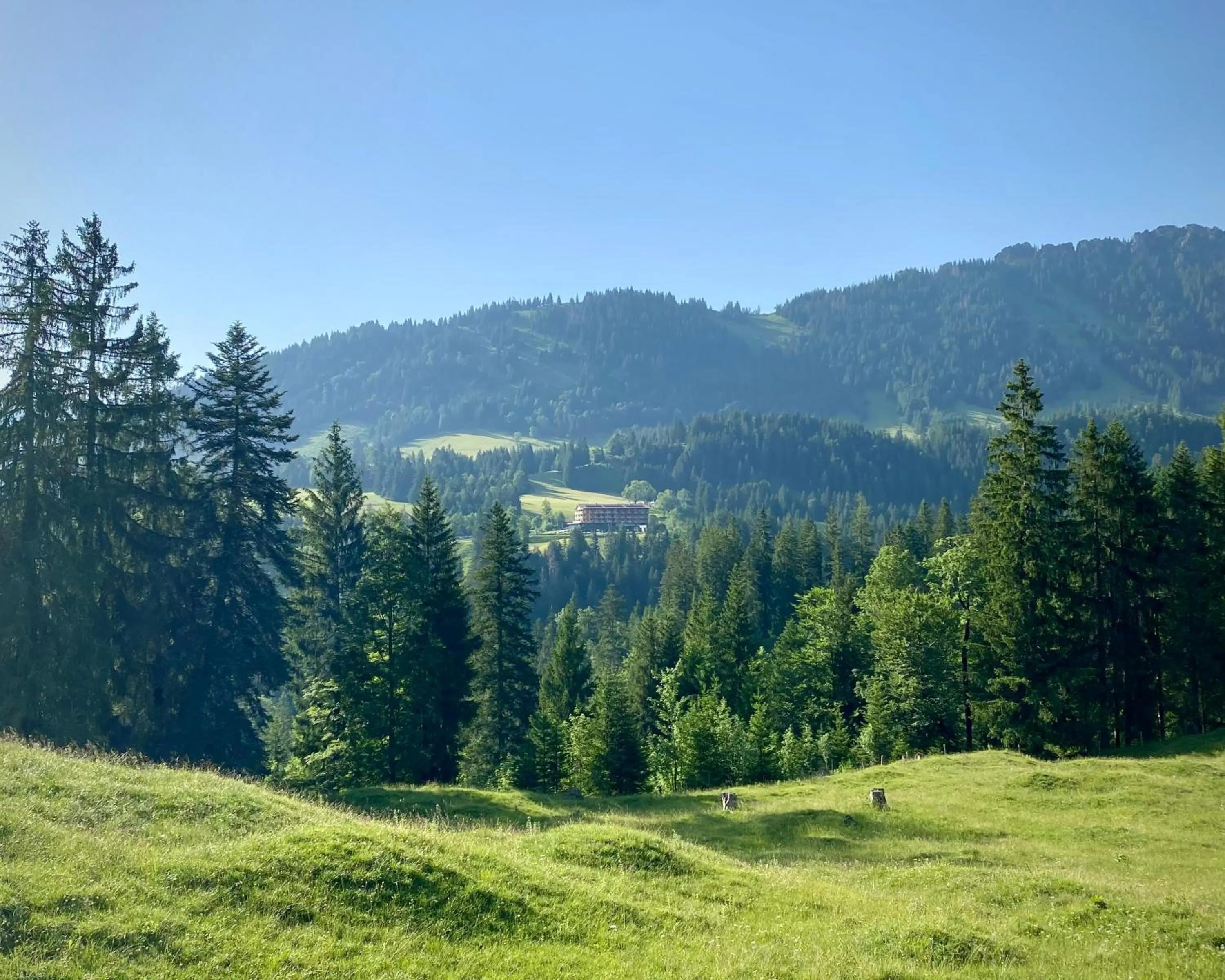 Property building in Ruhehotel & Naturresort Rehbach - Adults only