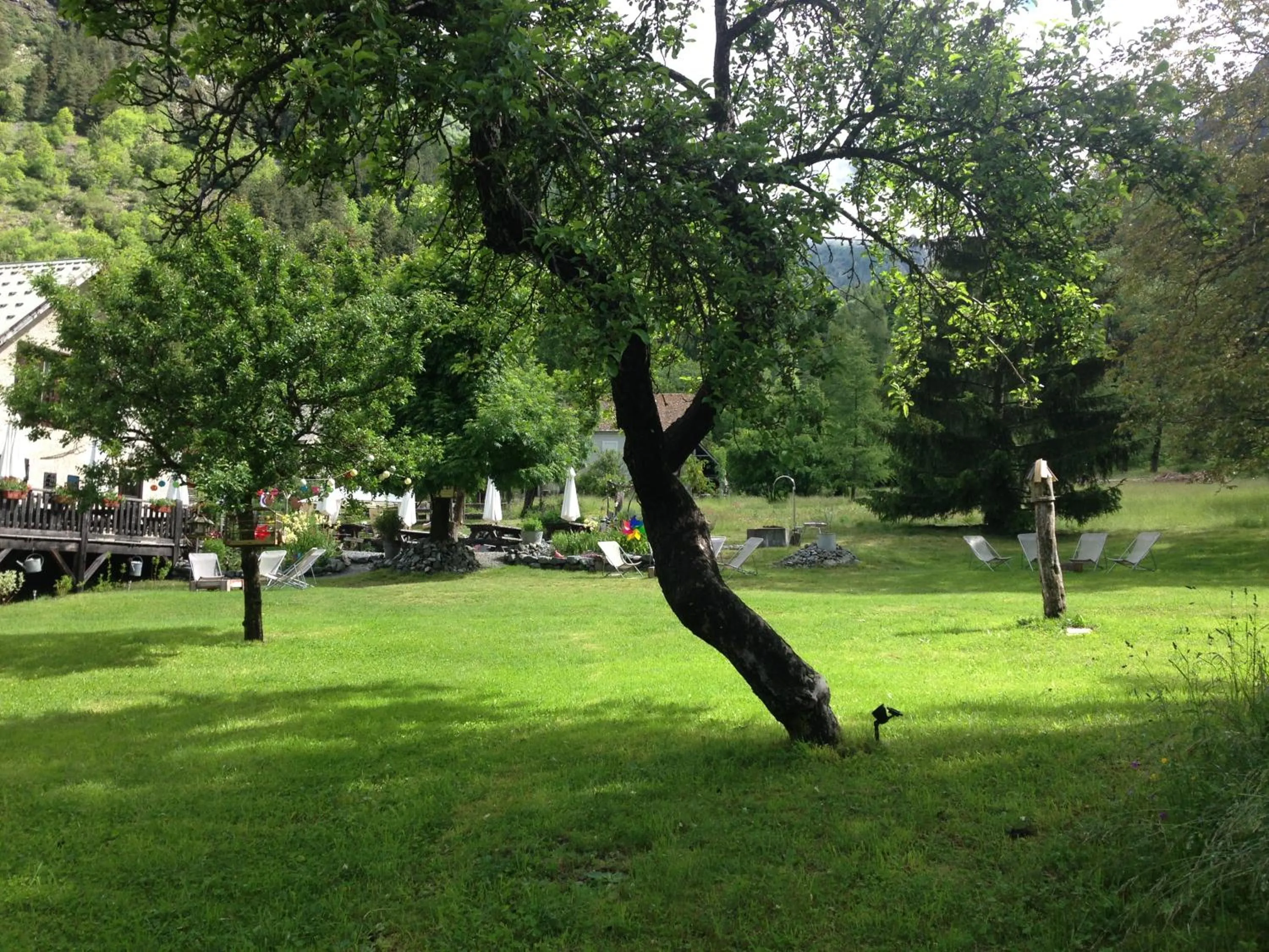 Garden in AUBERGE GAILLARD