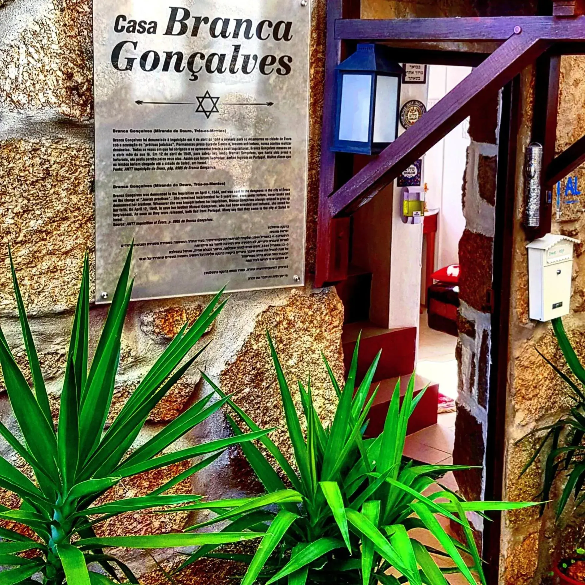 Branca Gonçalves Belmonte Branca Gonçalves Belmonte