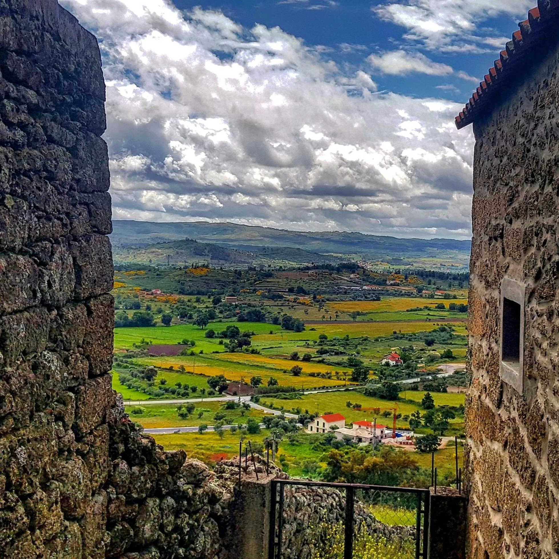 Branca Gonçalves Belmonte