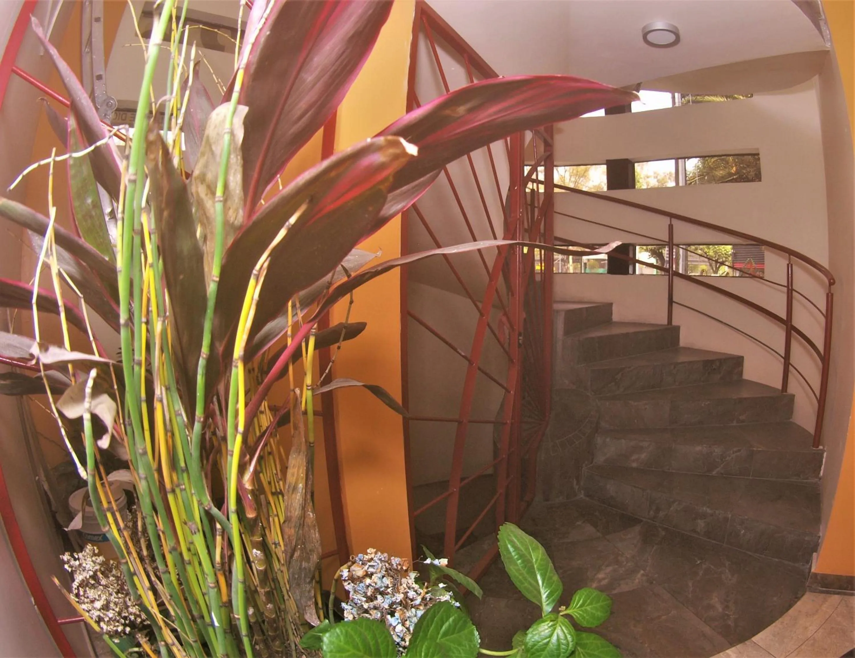 Area and facilities in Hotel Jard Inn Adult Only