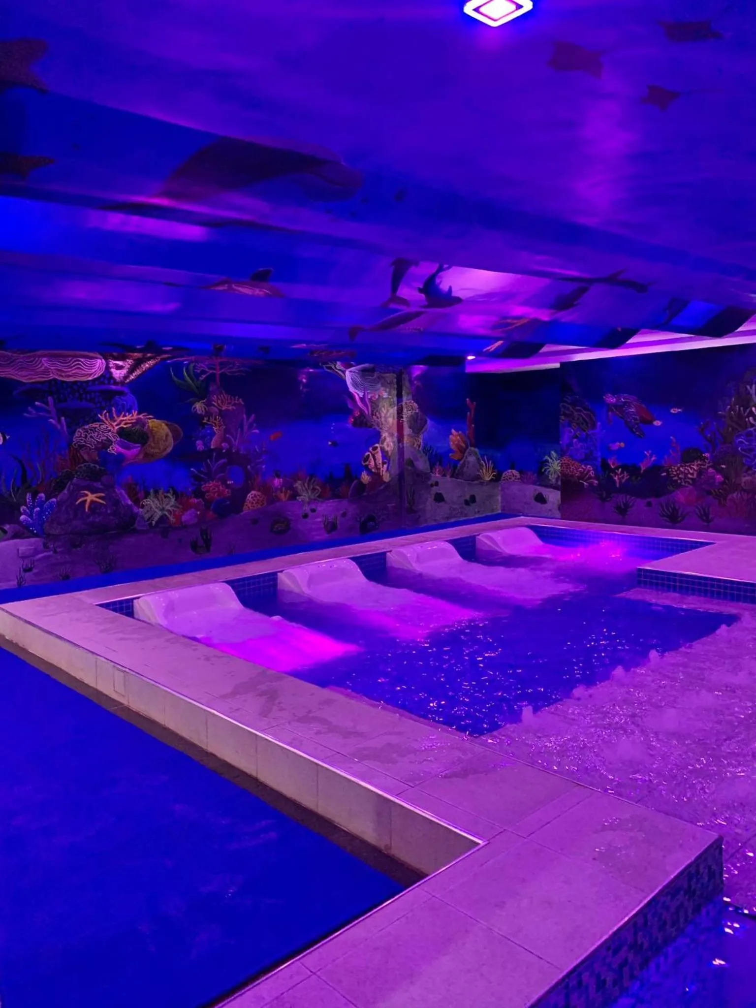 Swimming pool in Treasure Island Hotel With Mini Water Adventure