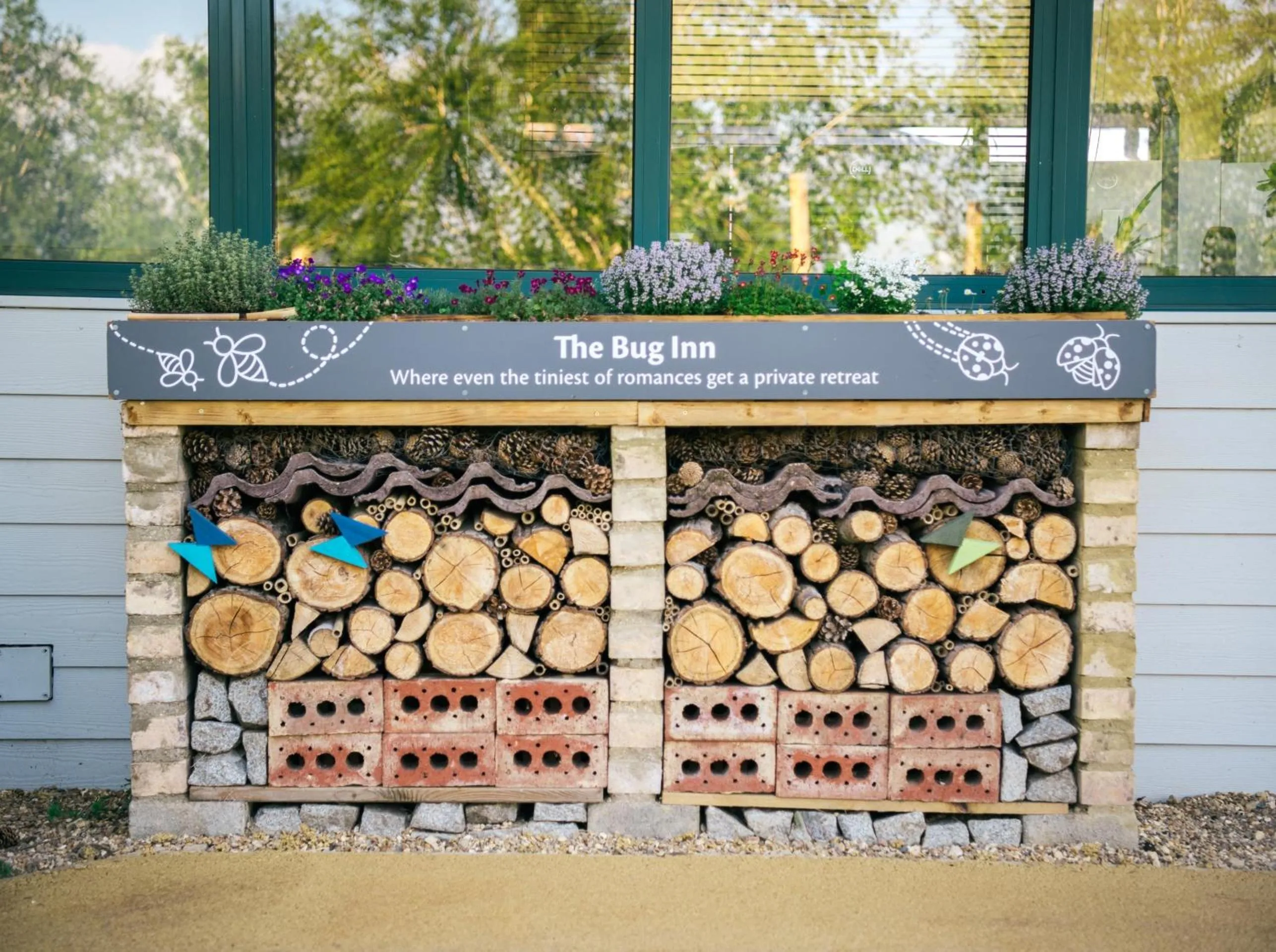 Text overlay in The Willows Training Centre