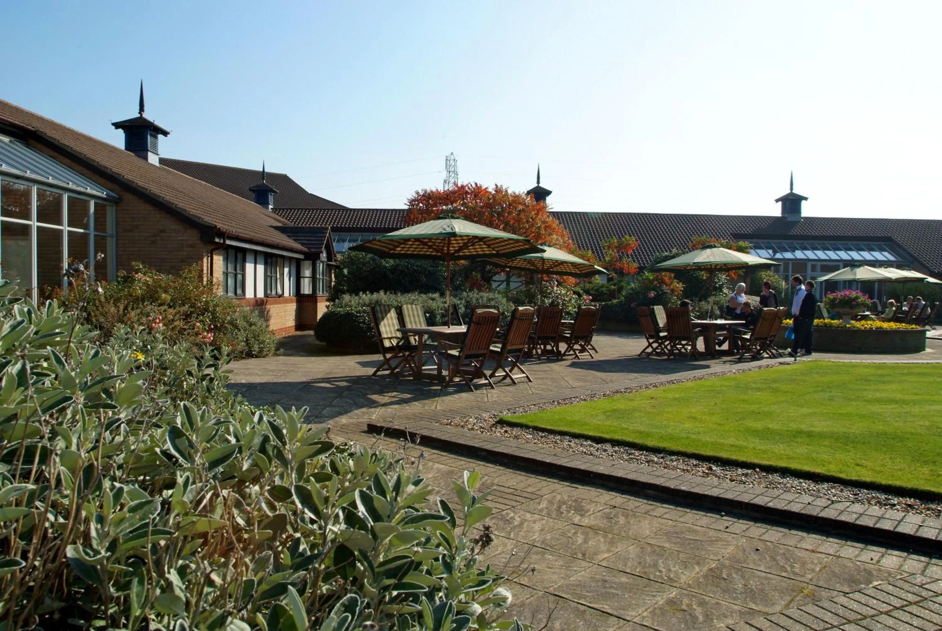 Garden in The Willows Training Centre