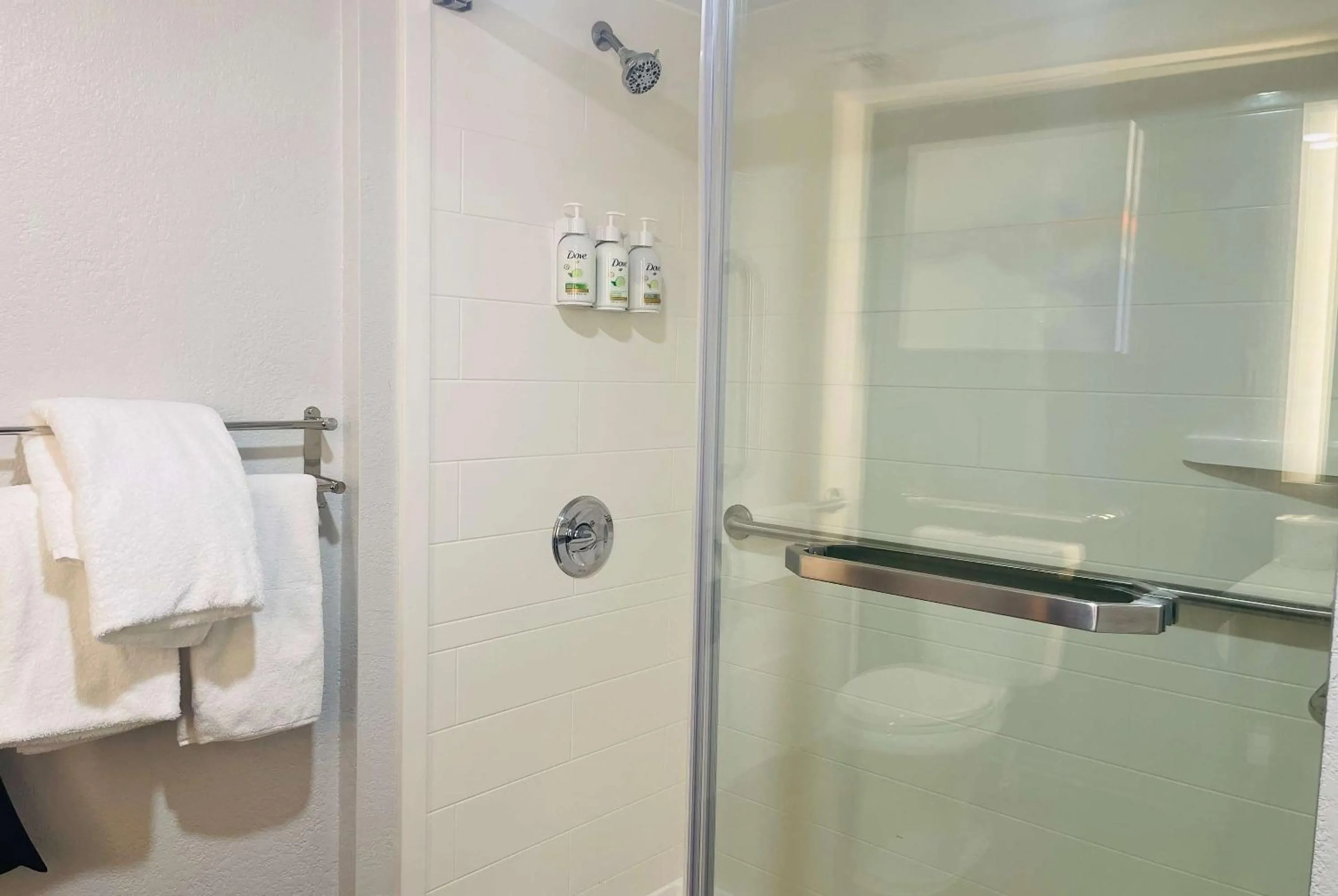 Shower in La Quinta by Wyndham Birmingham Homewood