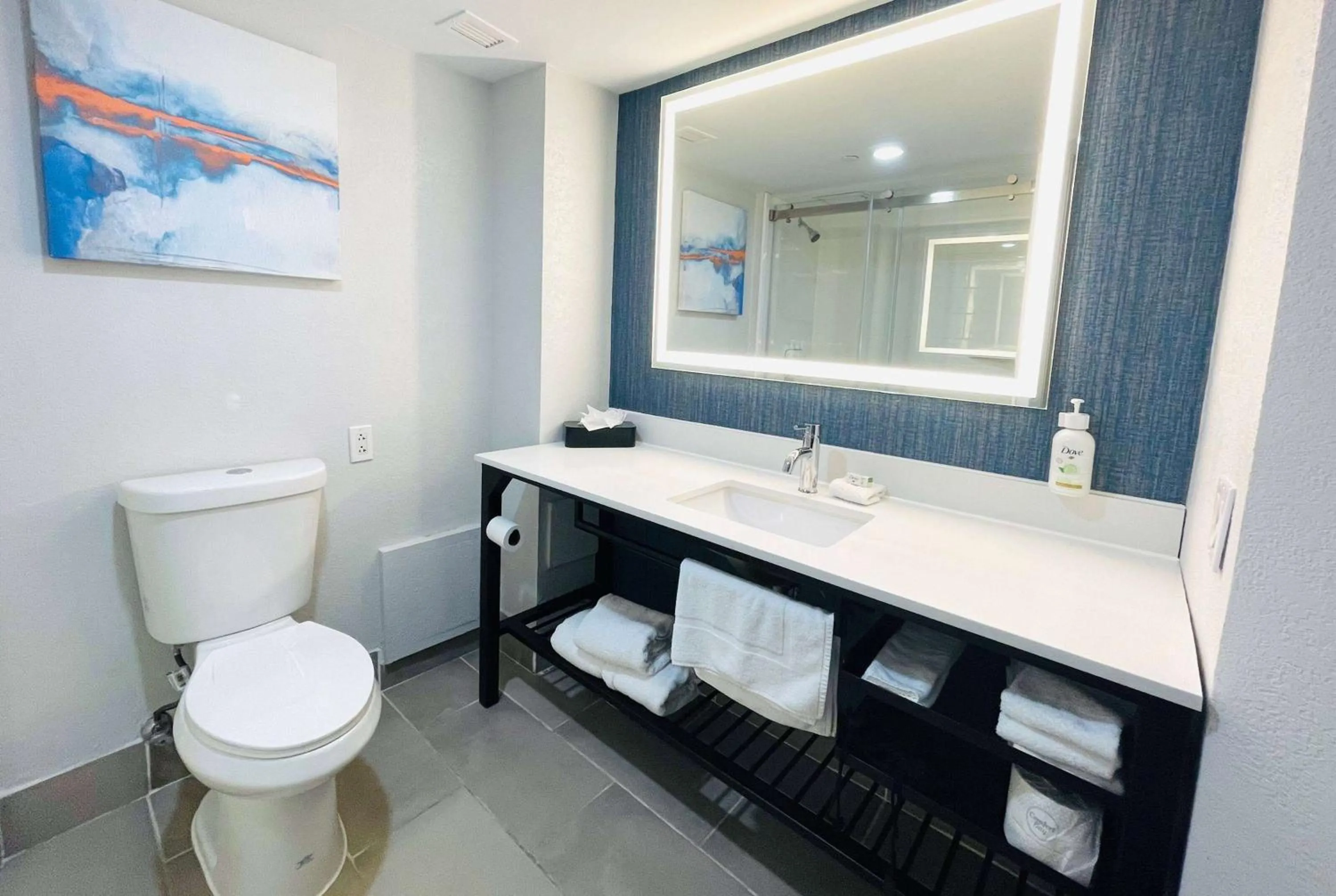 Bathroom in La Quinta by Wyndham Birmingham Homewood