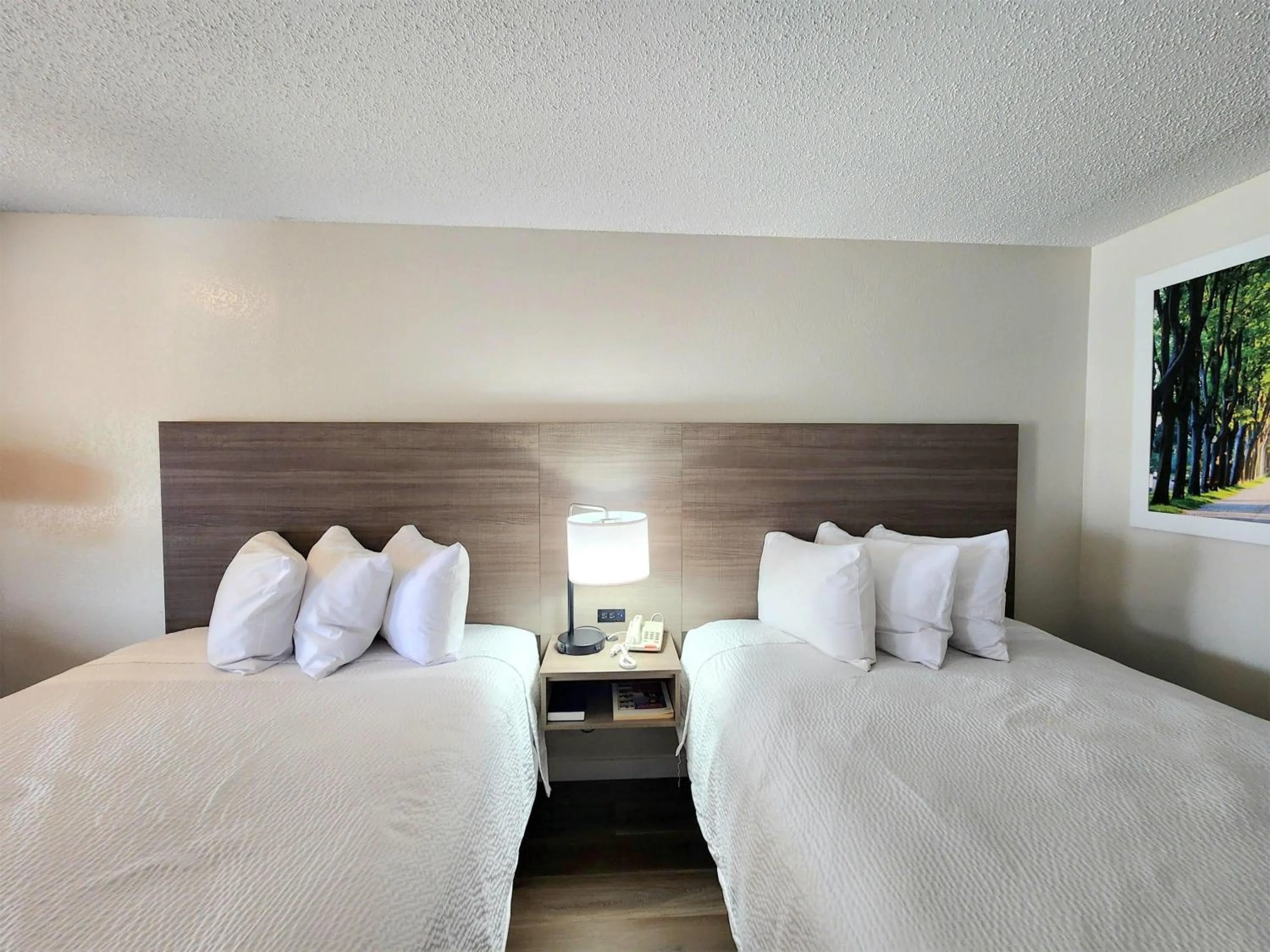 Photo of the whole room, Bed in Days Inn by Wyndham San Marcos