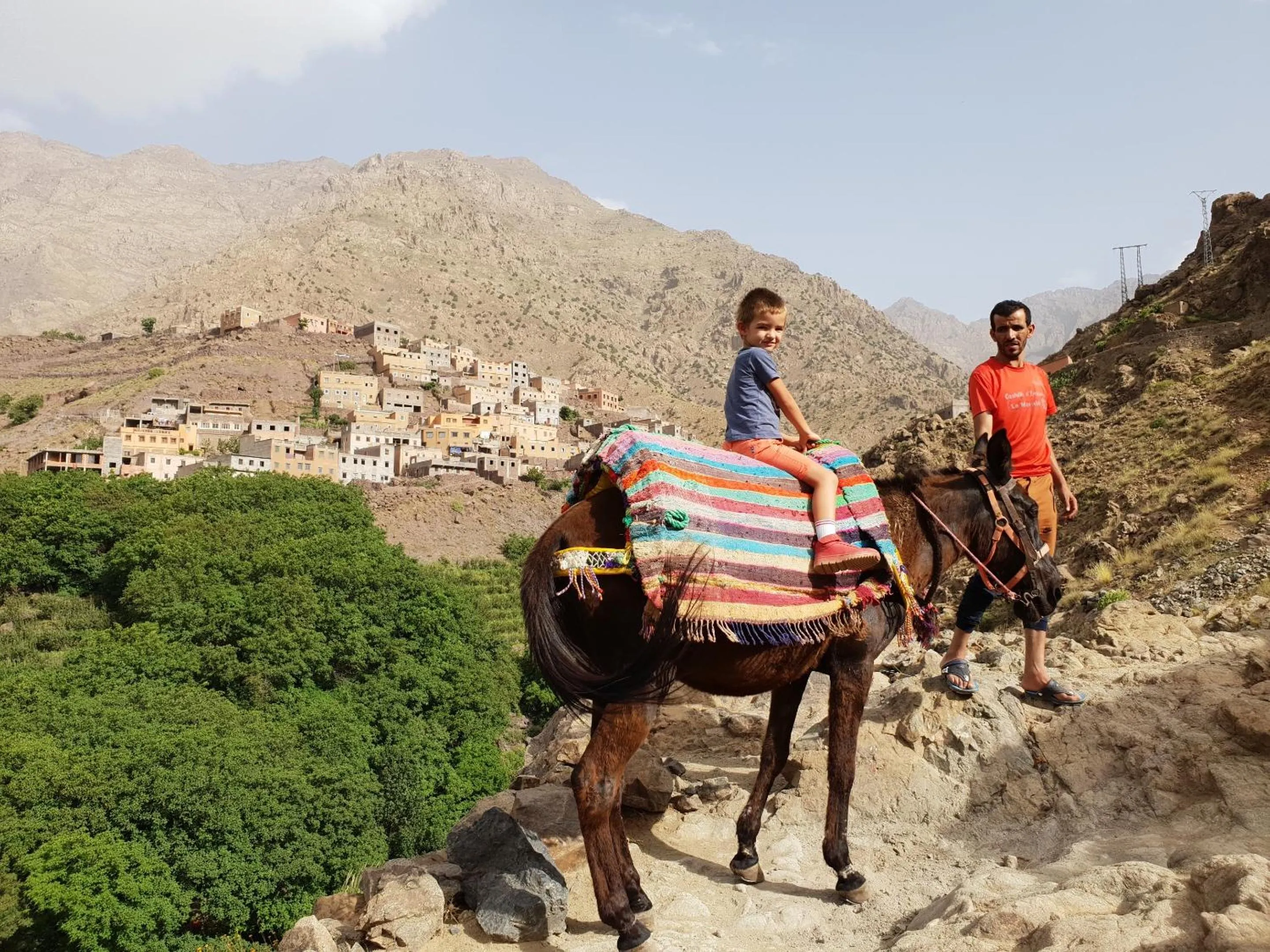 Animals in Dar Assarou - Toubkal National Park Lodge