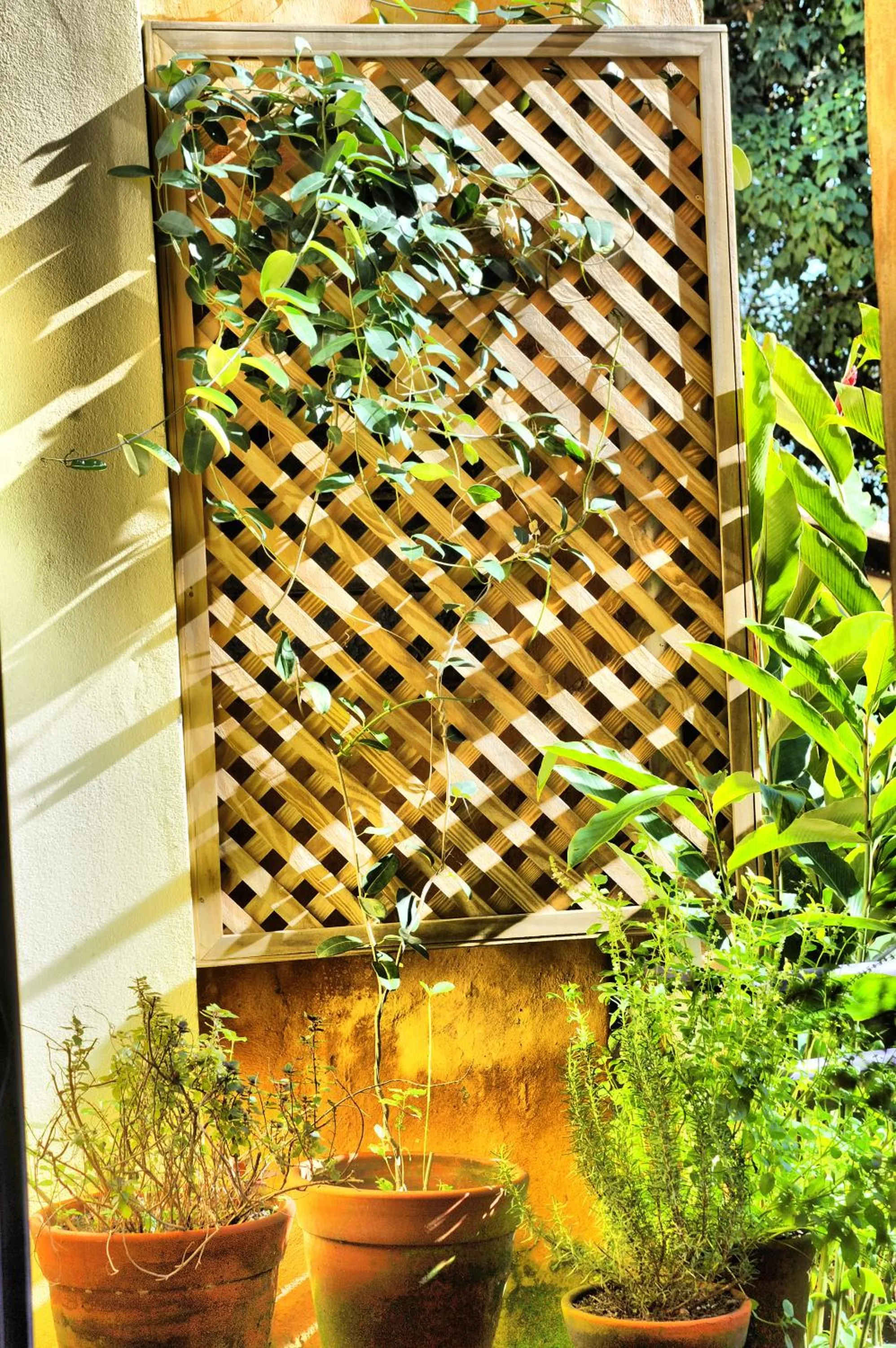 Certificate/Award in Pousada da Sesmaria