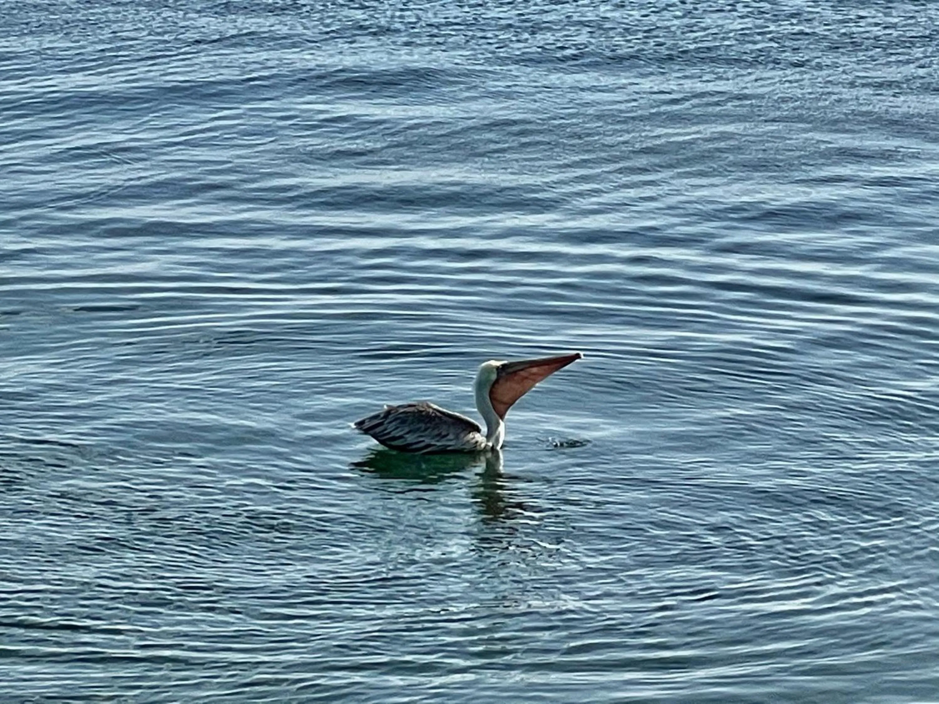 Natural landscape in Vistalmar Ocean Suites