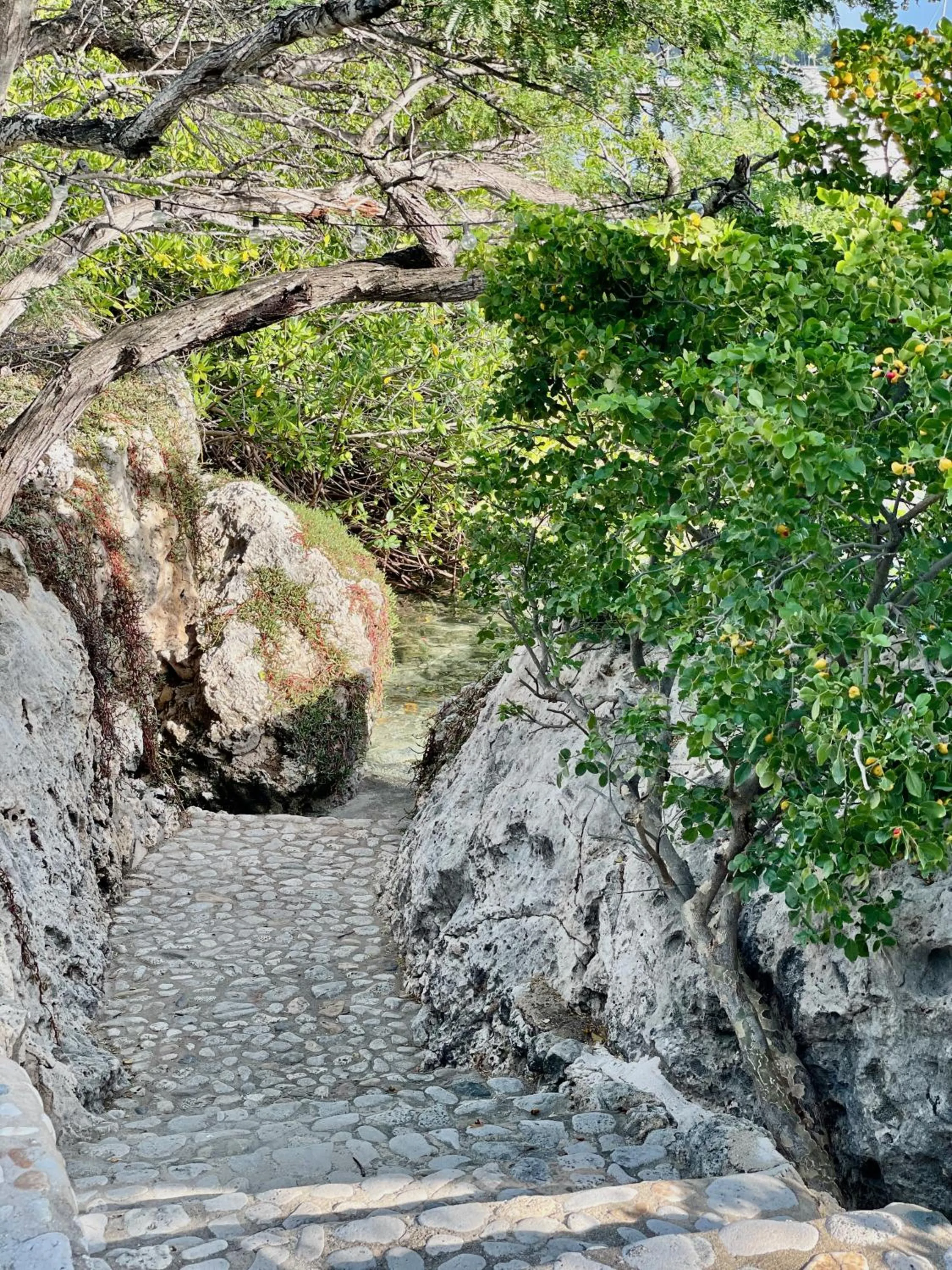 Natural landscape in Vistalmar Ocean Suites