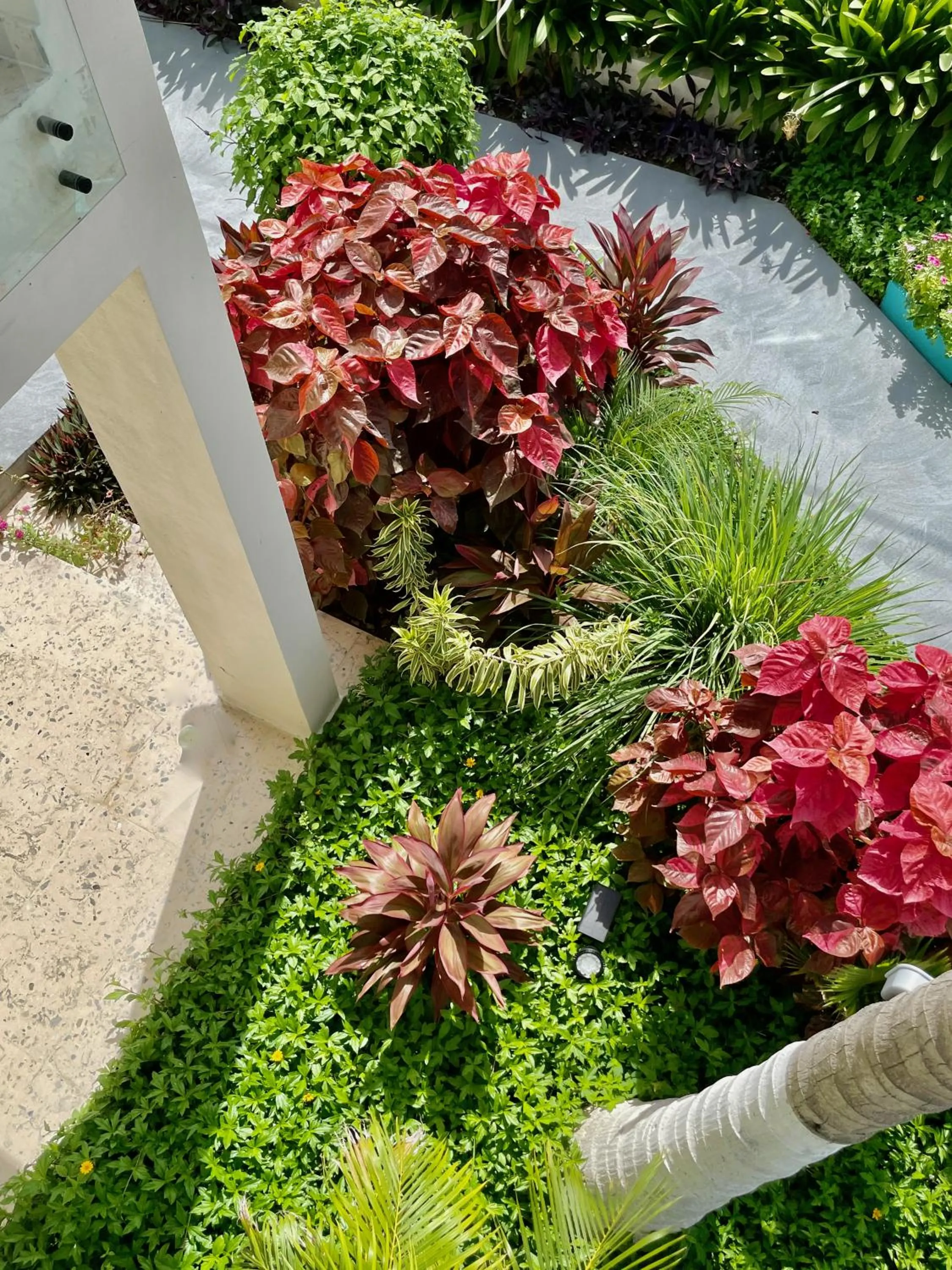 Patio in Vistalmar Ocean Suites