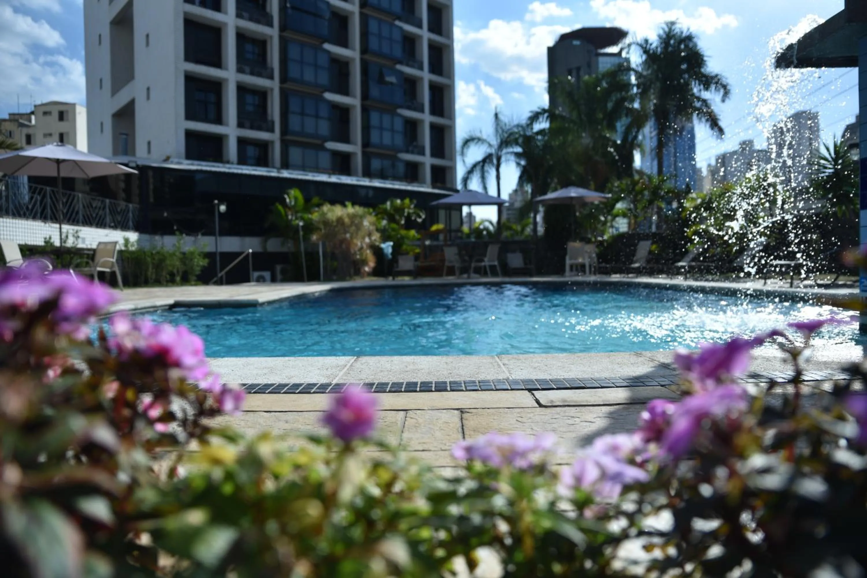 Swimming pool in Plaza Inn Small Town Flat