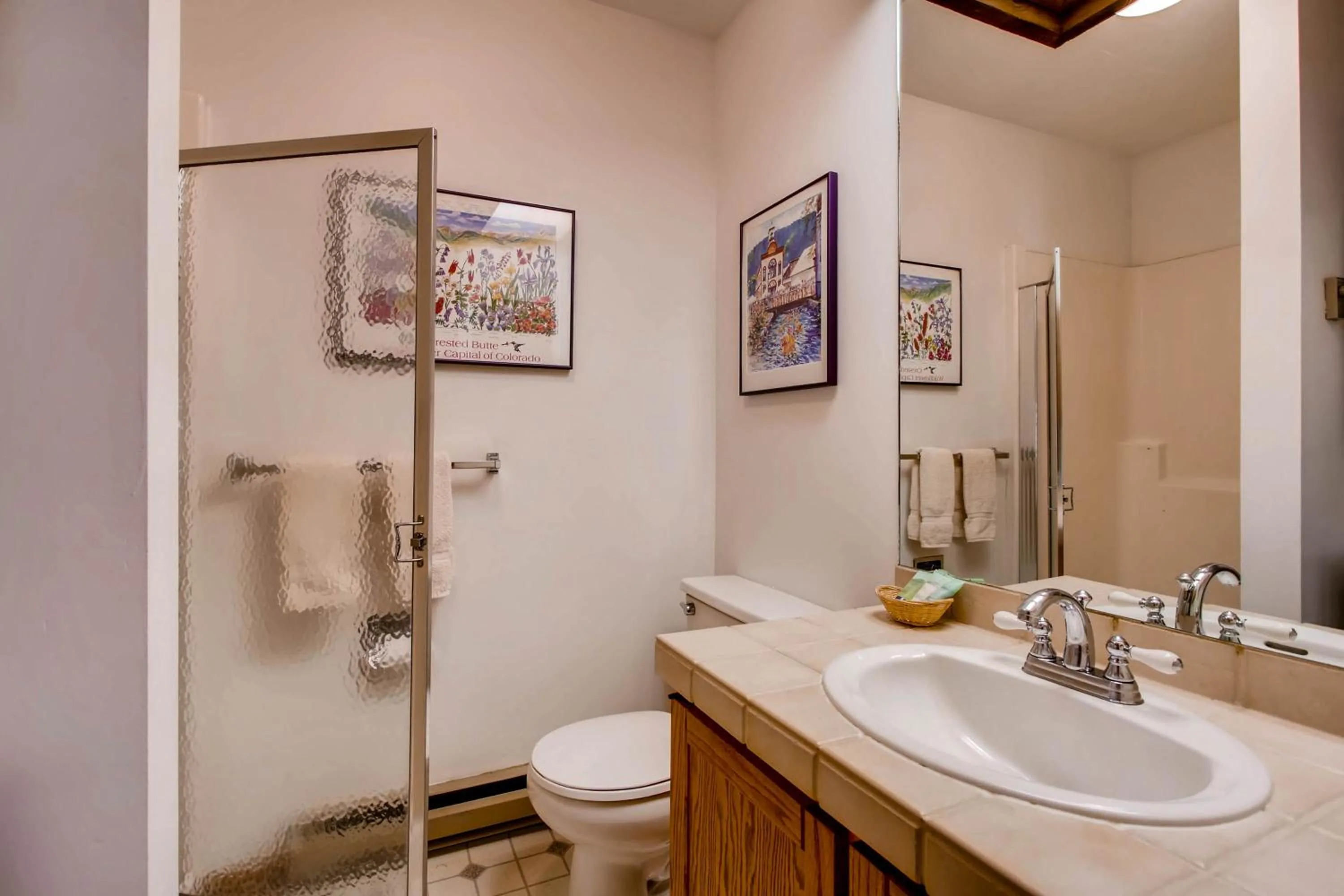 The Plaza Condominiums by Crested Butte Mountain Resort