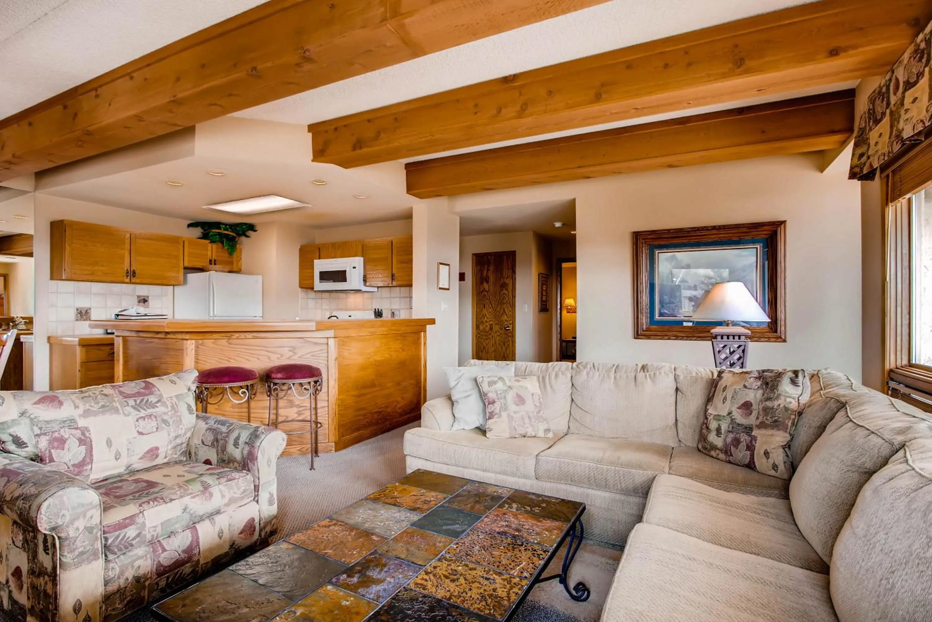 The Plaza Condominiums by Crested Butte Mountain Resort