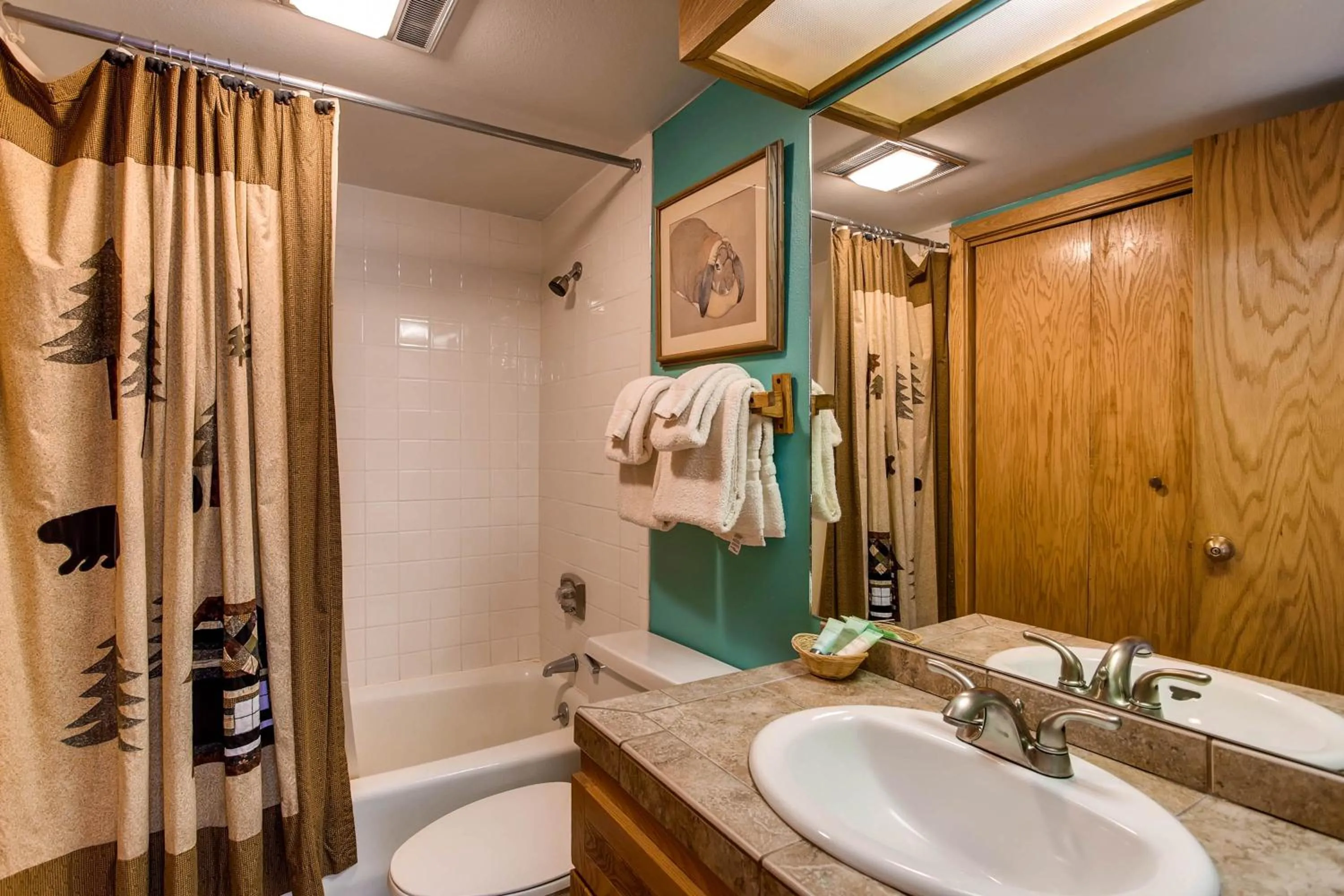 The Plaza Condominiums by Crested Butte Mountain Resort