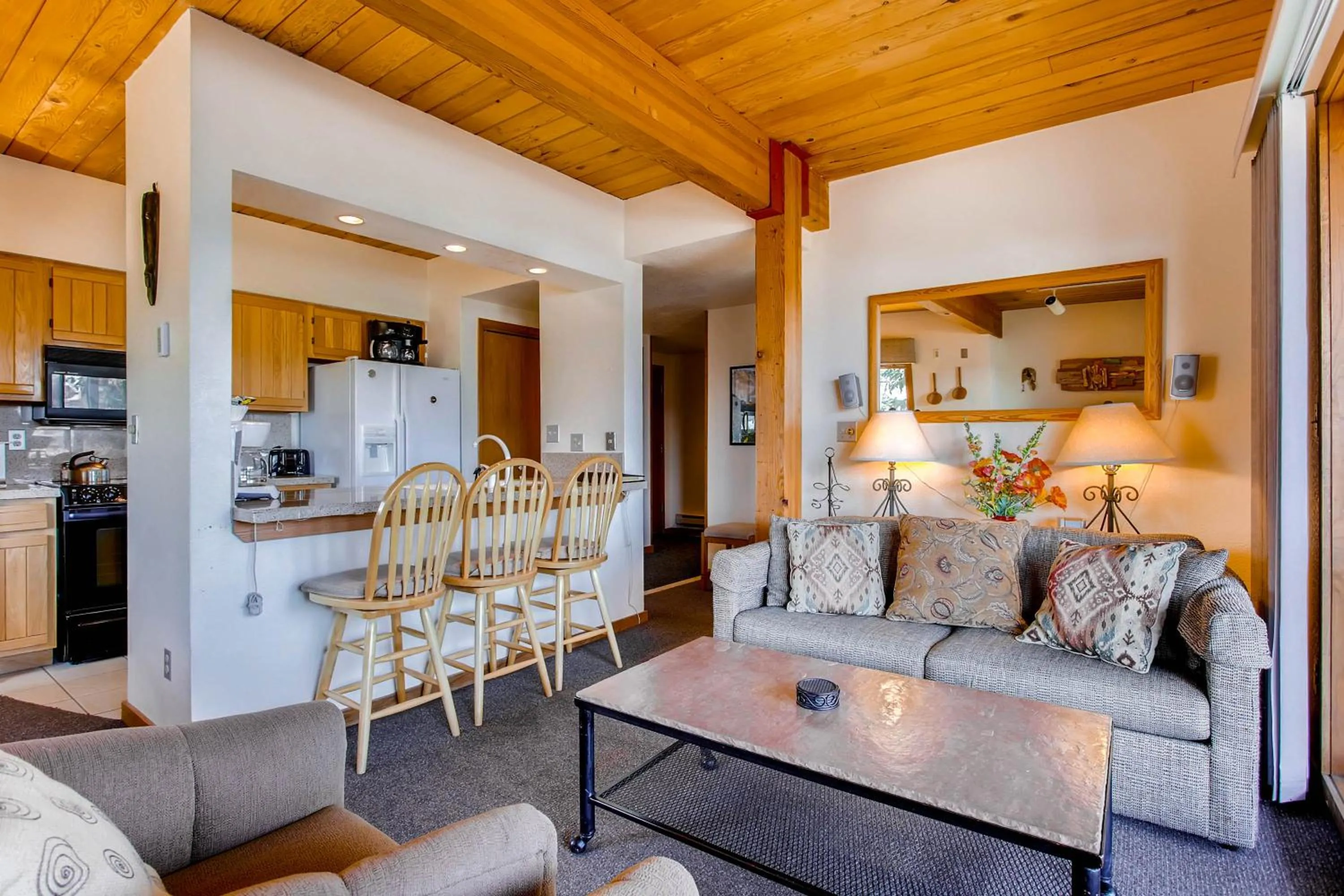 The Plaza Condominiums by Crested Butte Mountain Resort
