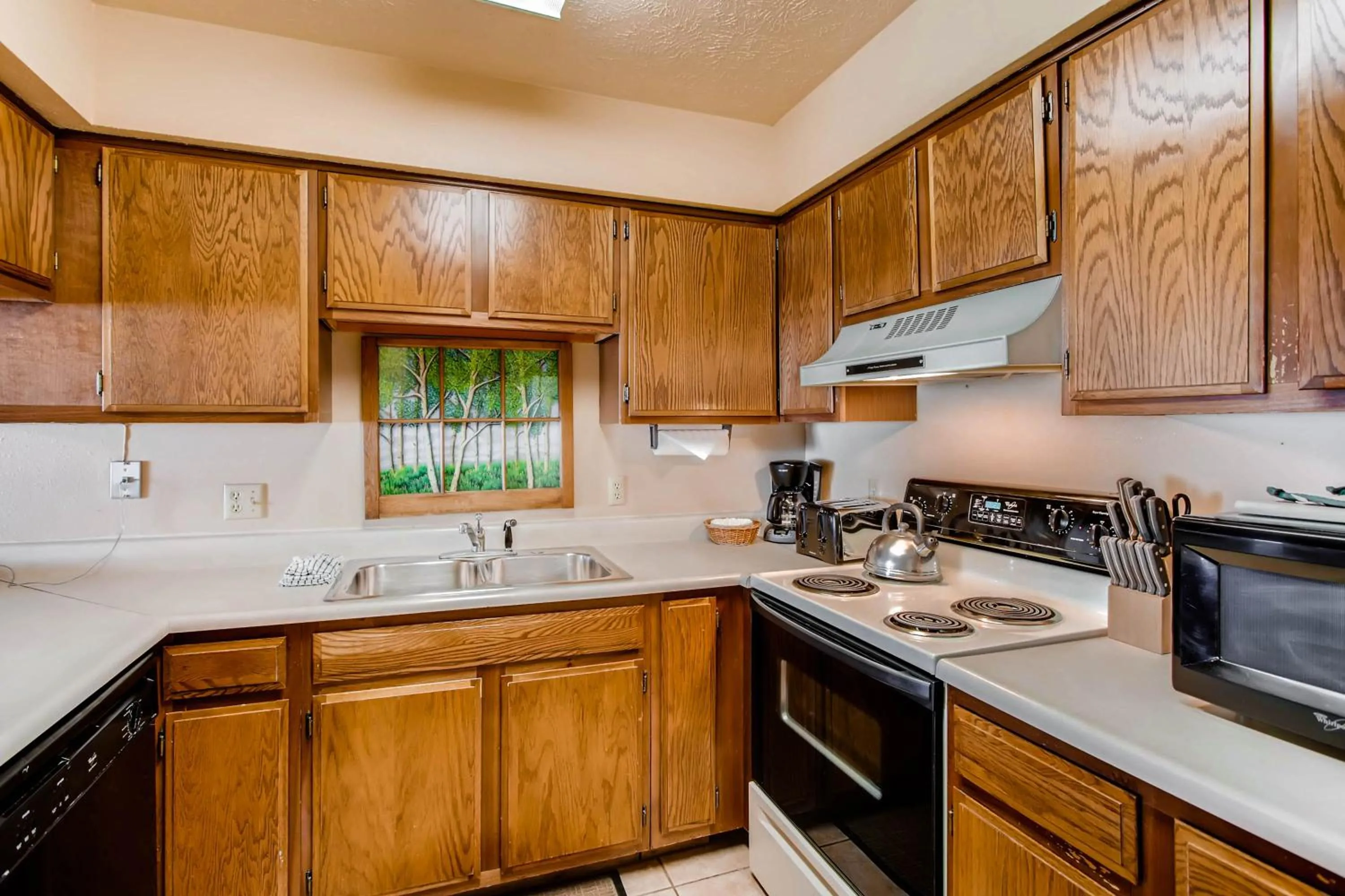 The Plaza Condominiums by Crested Butte Mountain Resort