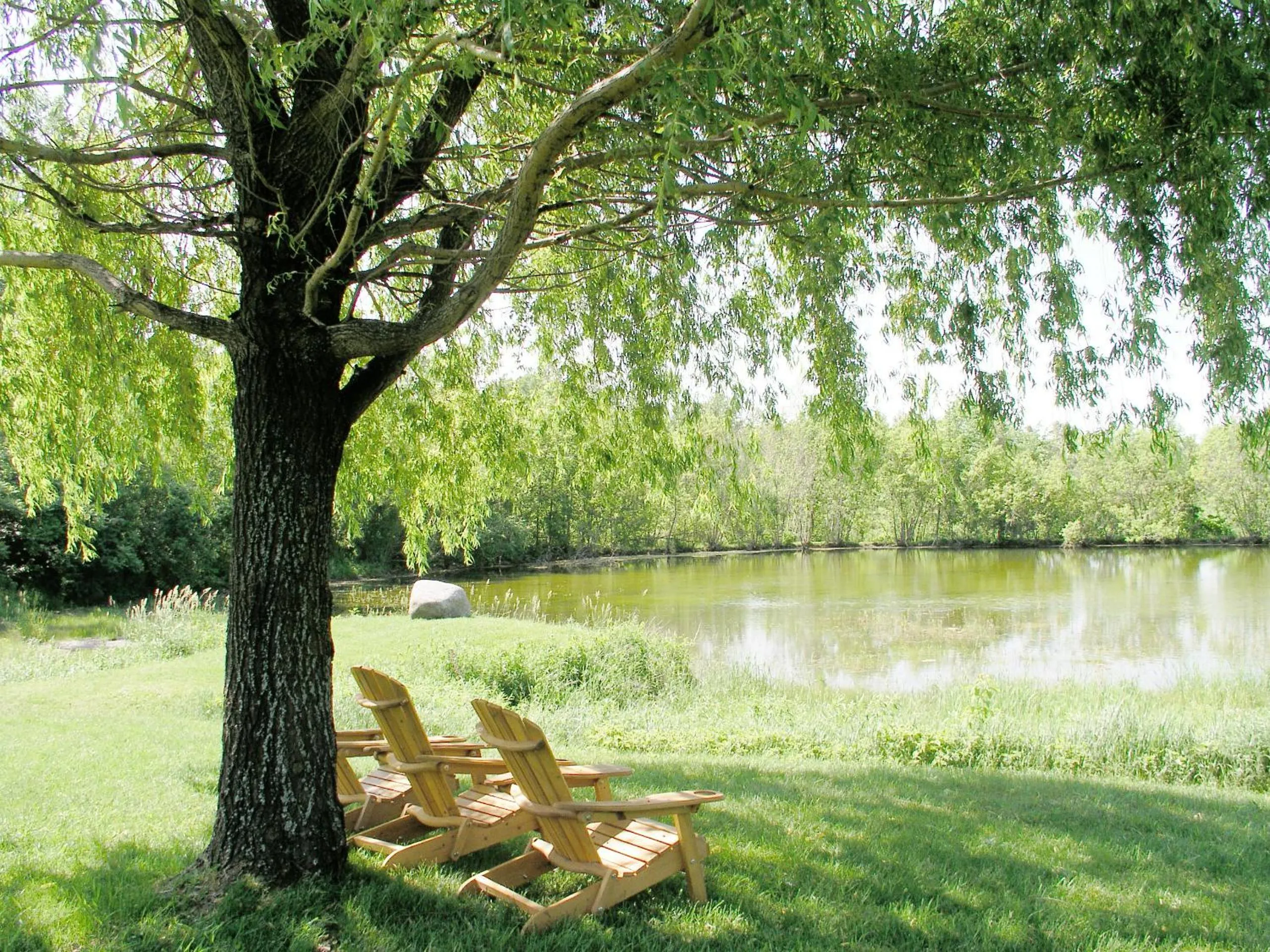 View (from property/room) in Auberge des Gallant