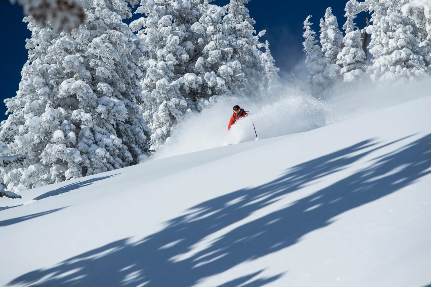 Alta's Rustler Lodge