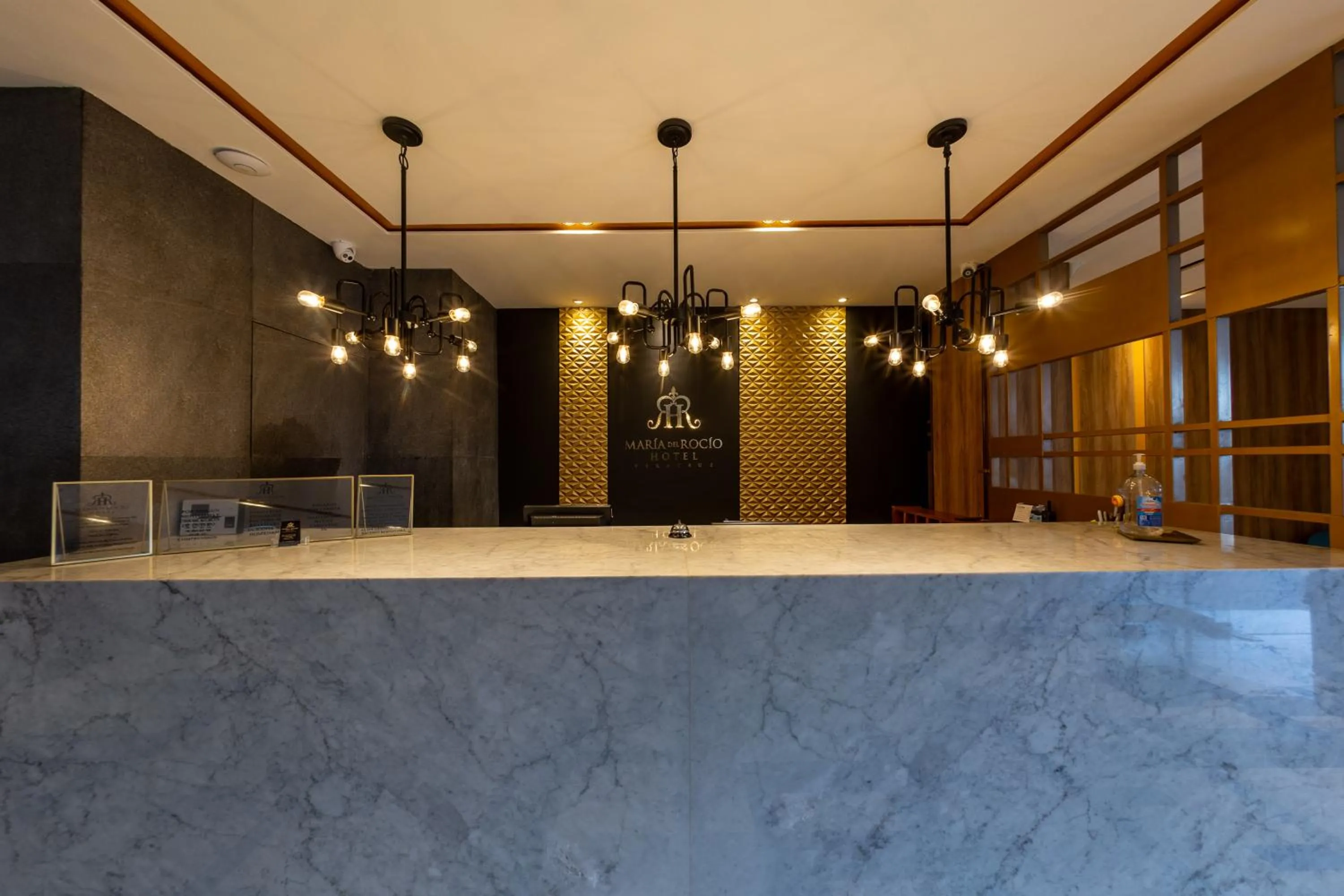 Lobby or reception in Hotel Maria del Rocio