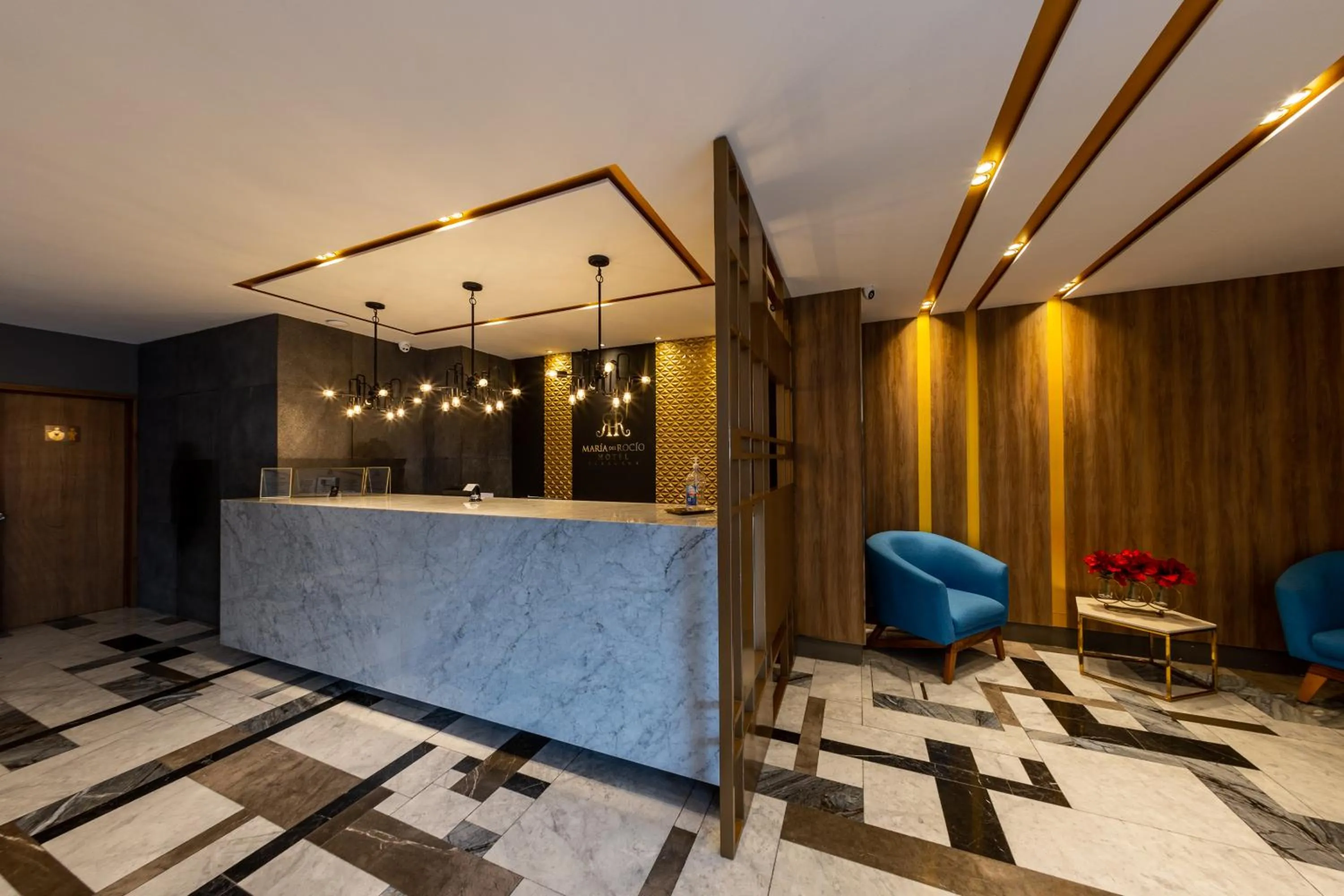 Lobby or reception in Hotel Maria del Rocio