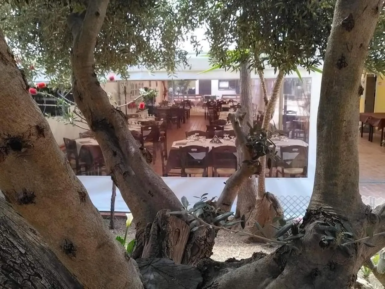 Restaurant/places to eat in Andrea Case Vacanze L'Ancora