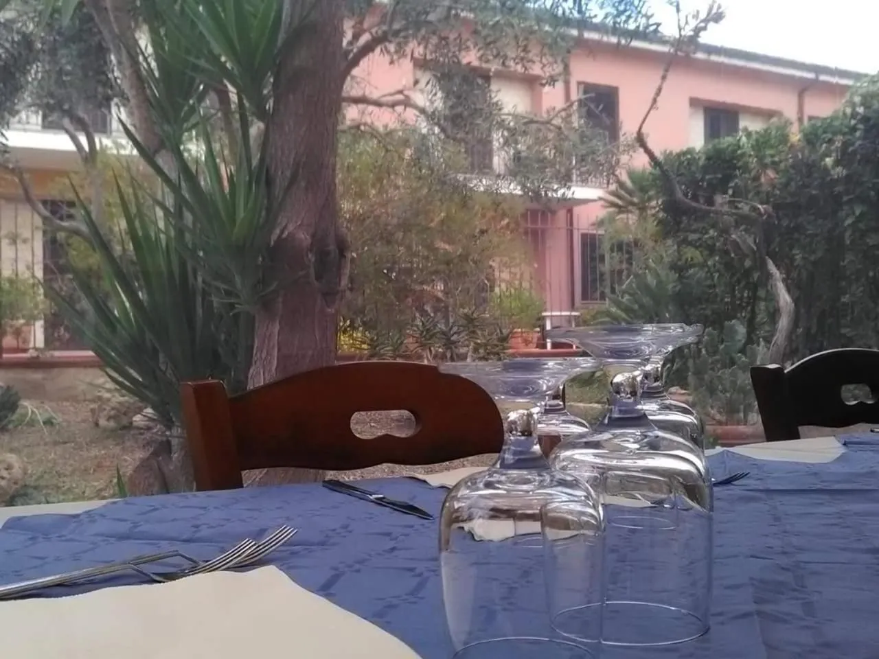 Garden view in Andrea Case Vacanze L'Ancora