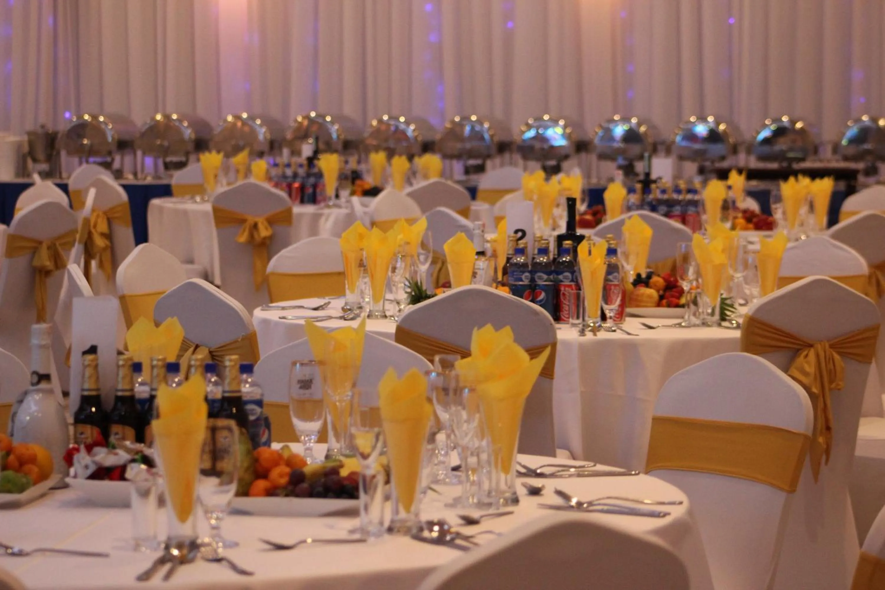 Banquet/Function facilities in The Blue Sky Hotel and Tower